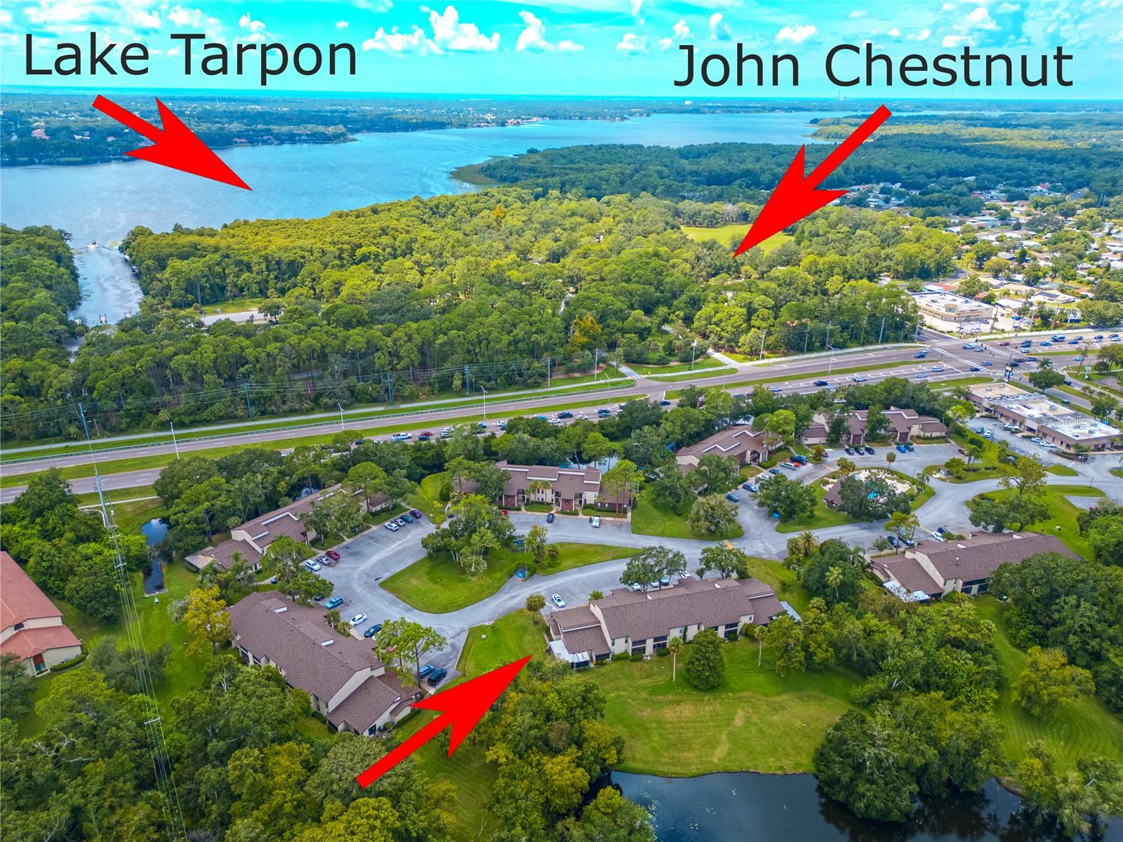 Image 6 of 39 For 1200 Tarpon Woods Boulevard P1