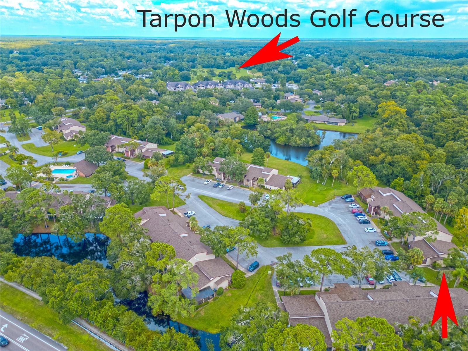 Image 7 of 39 For 1200 Tarpon Woods Boulevard P1