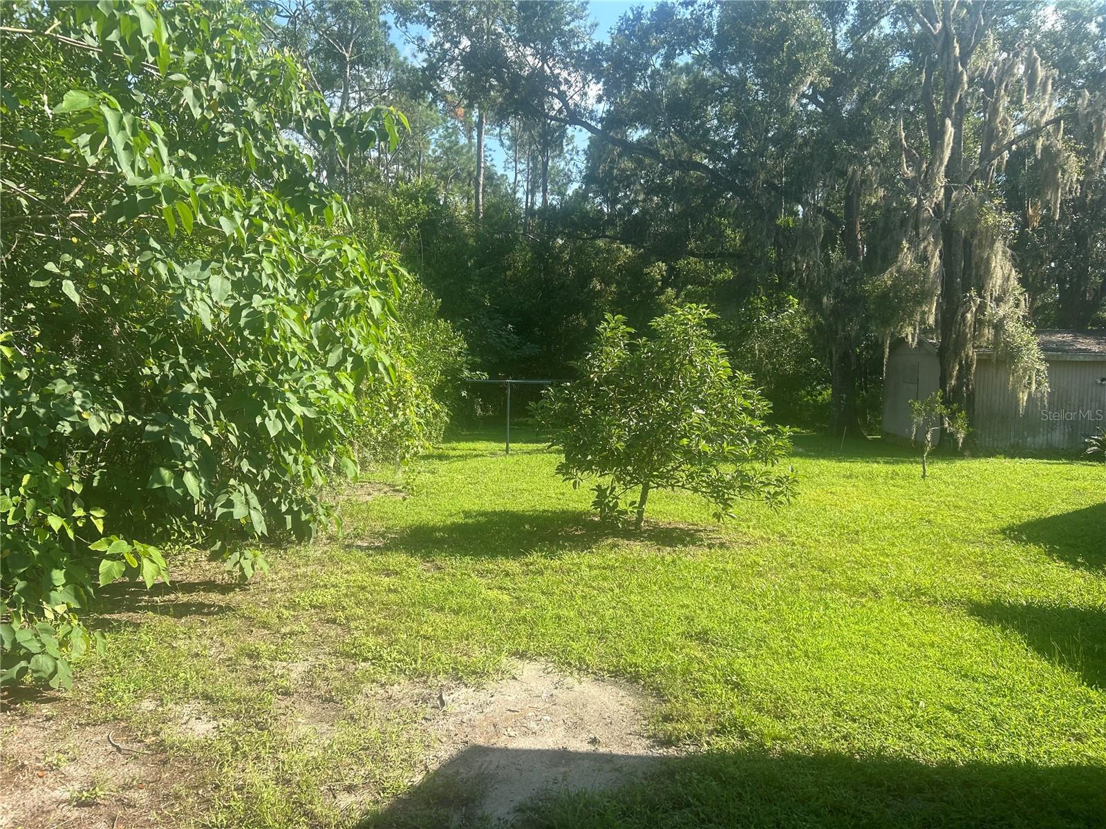 Image 3 of 15 For 13232 Blissfield Road