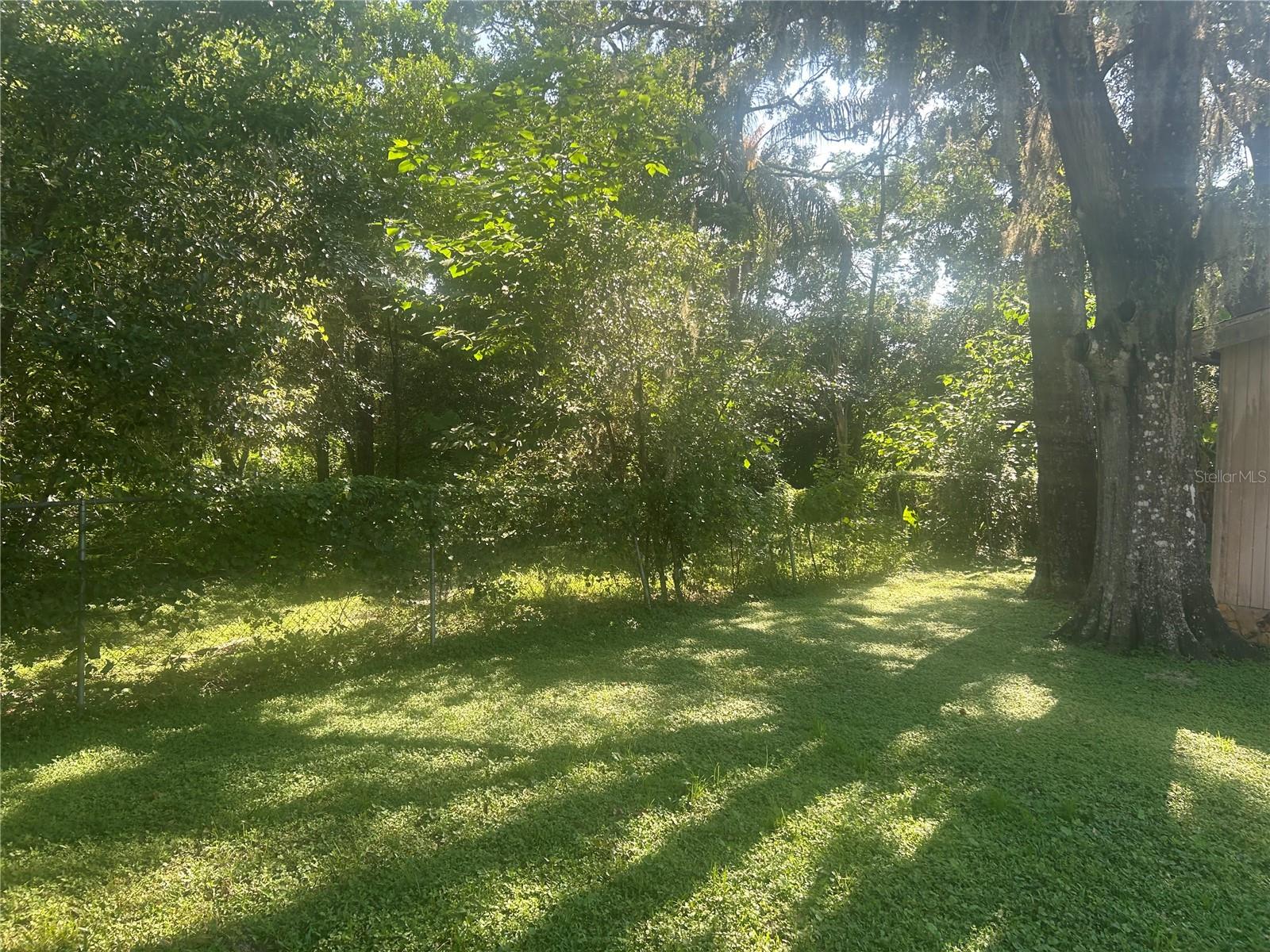 Image 7 of 15 For 13232 Blissfield Road