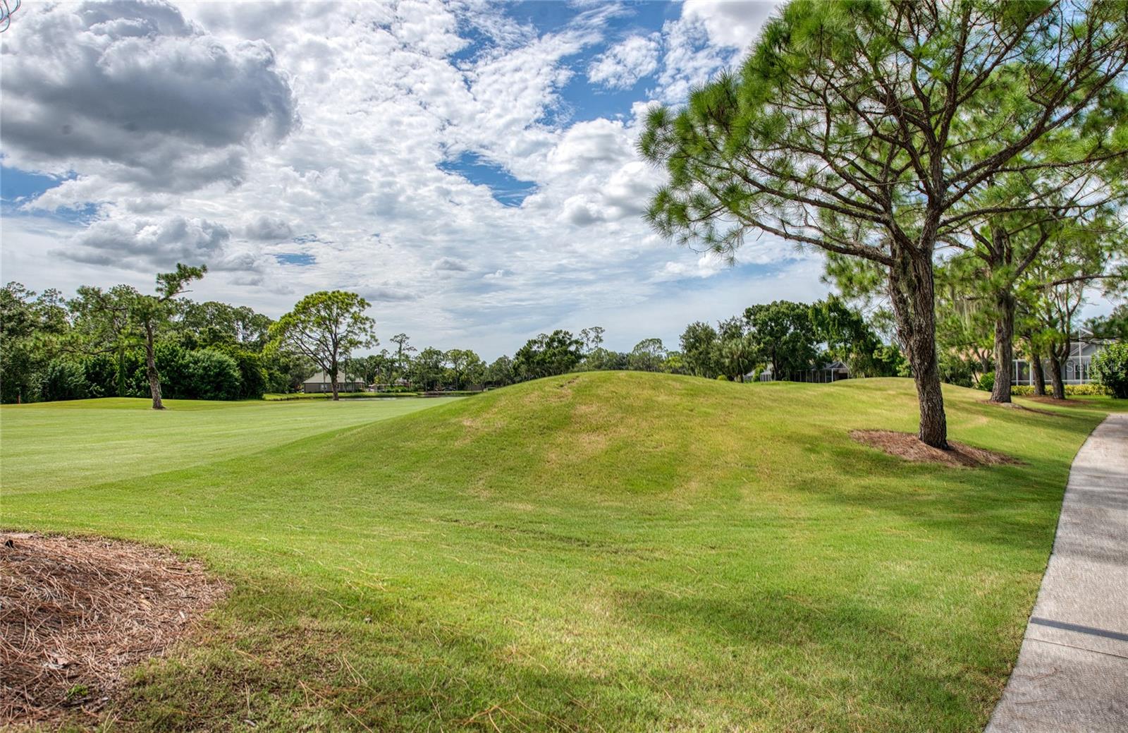 Image 48 of 60 For 8736 54th Avenue E