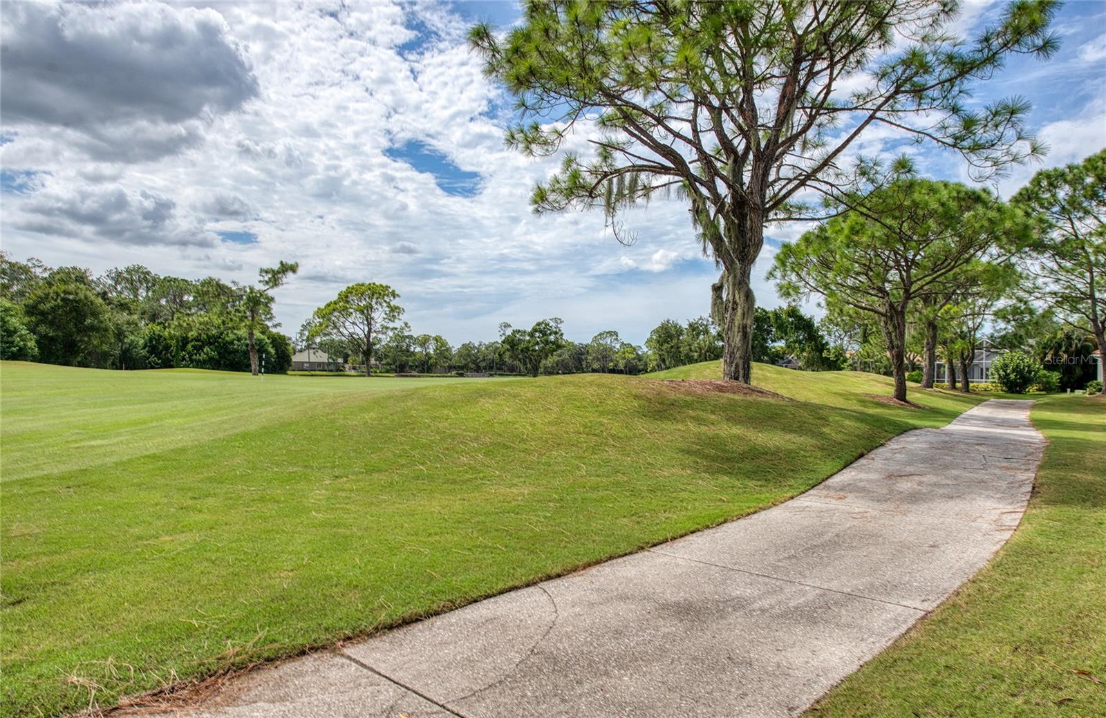 Image 49 of 60 For 8736 54th Avenue E