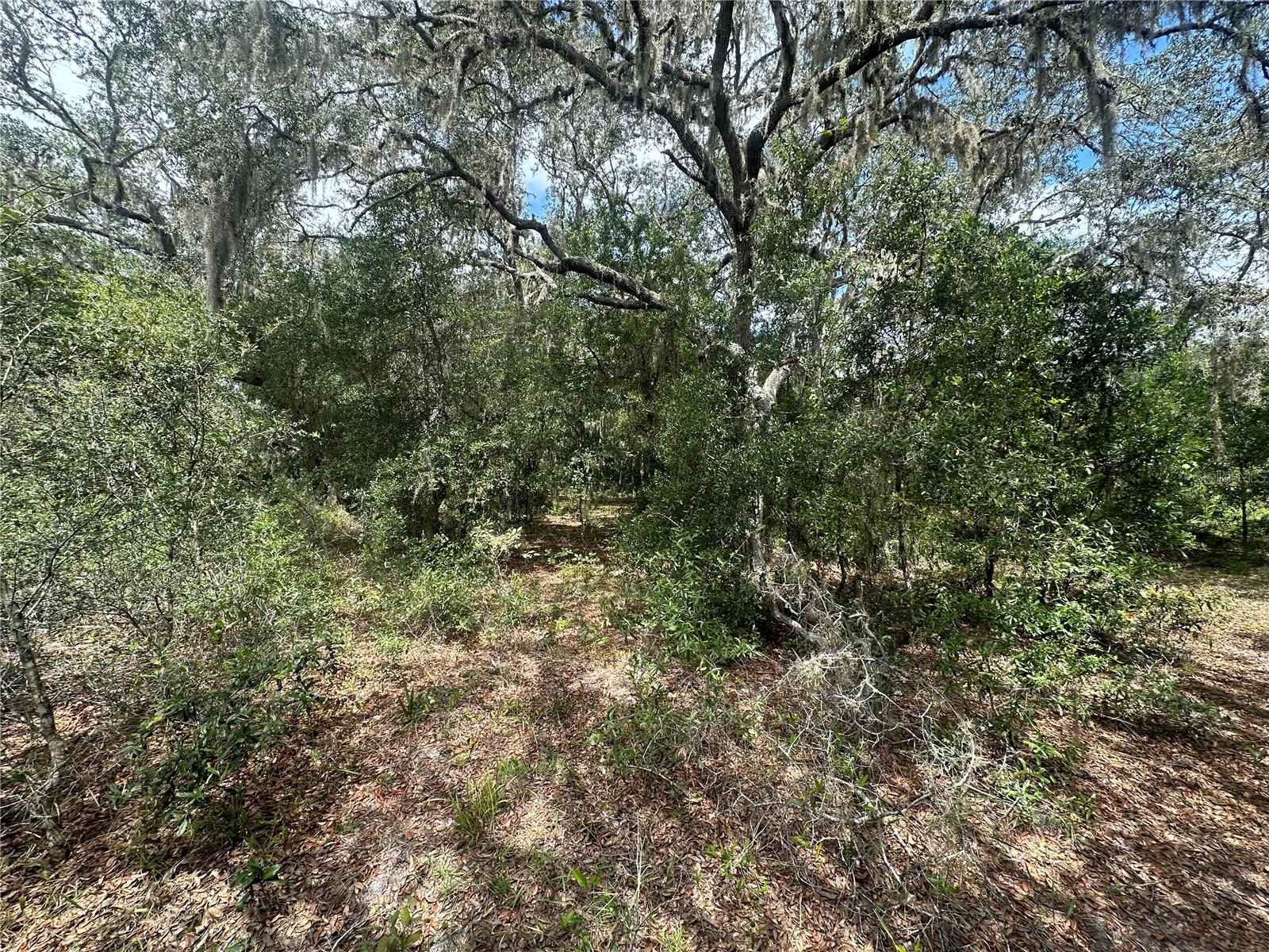 Image 10 of 24 For 449 450  E1 2 Lot 451 Sw Shorewood Drive