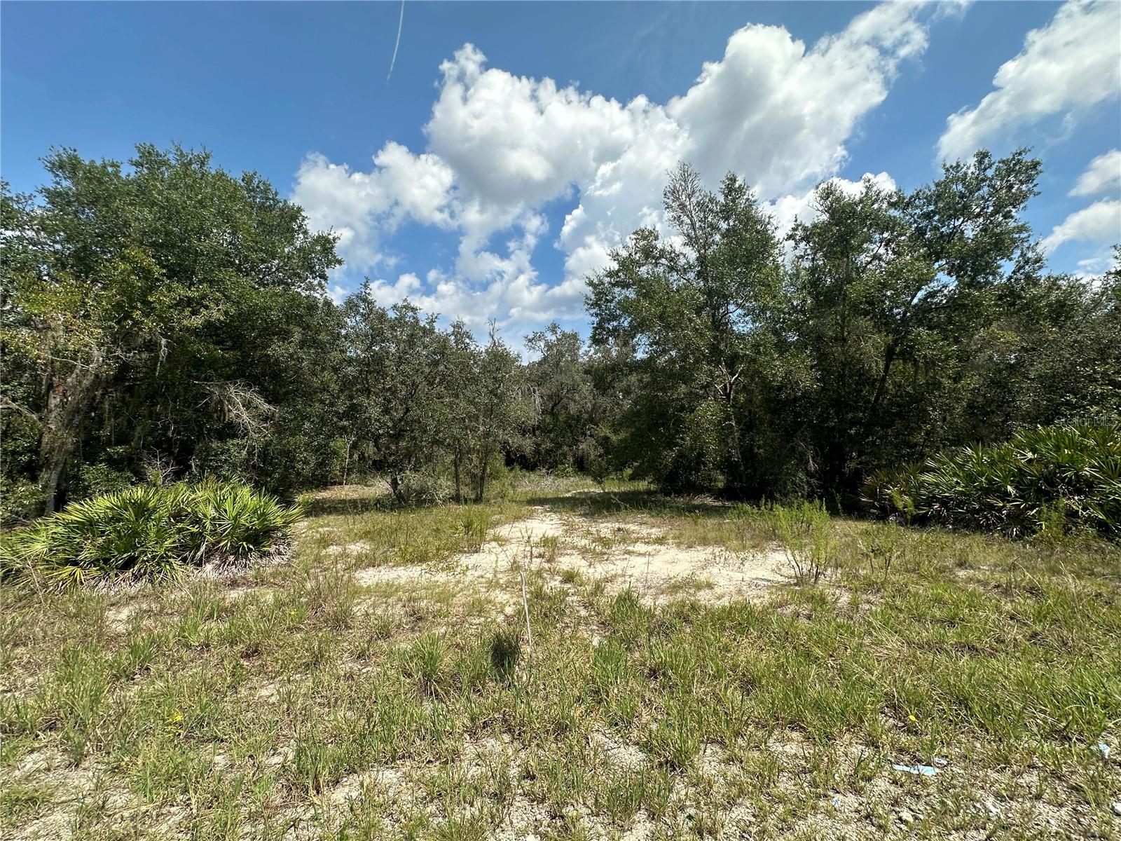 Image 12 of 24 For 449 450  E1 2 Lot 451 Sw Shorewood Drive