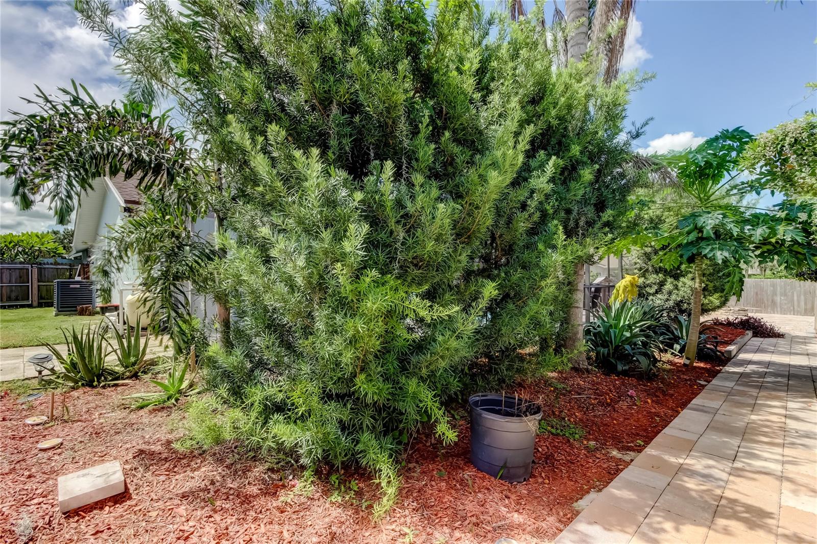 Image 43 of 47 For 1800 Sagebrush Road