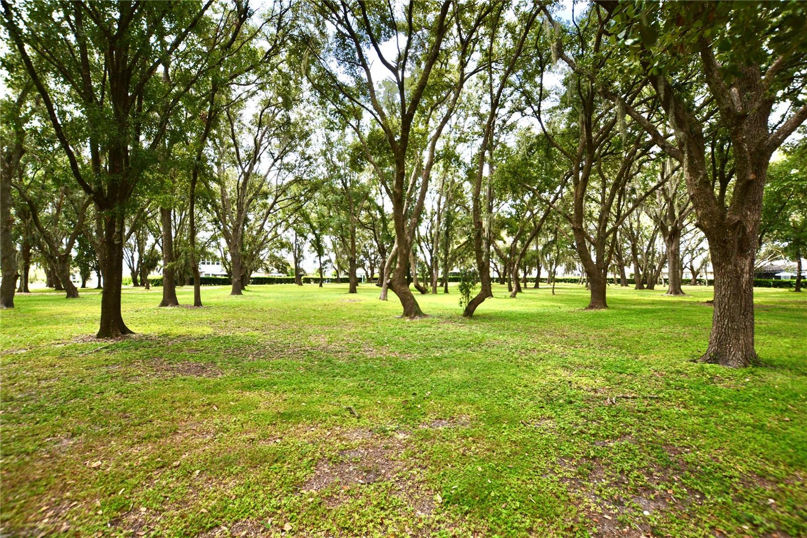 Image 88 of 99 For 4518 Esperanza Court
