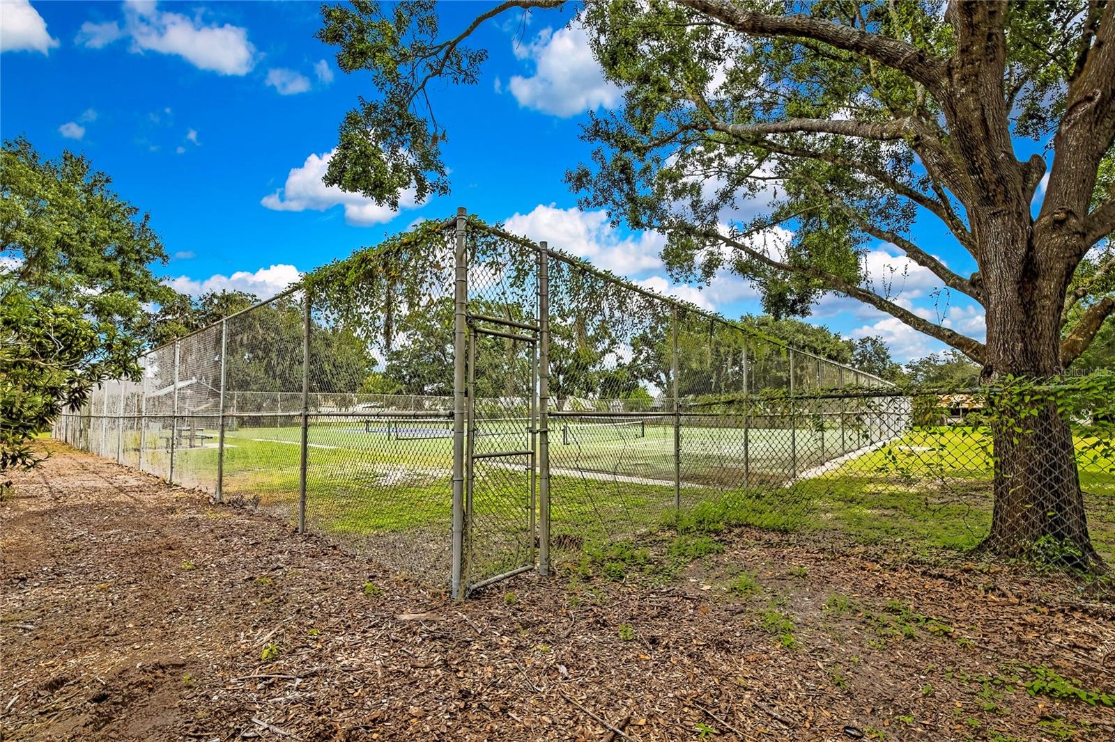 Image 73 of 85 For 3122 Lois Court