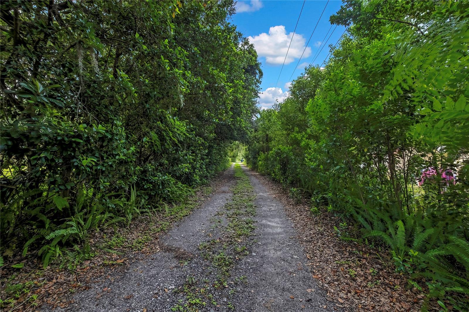 Image 4 of 58 For 825 Crenshaw Lake Road