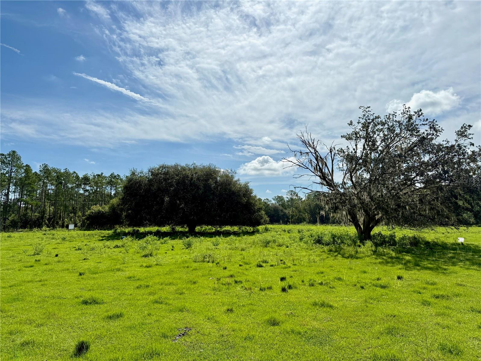 Details for 10460 Ehren Cutoff, LAND O LAKES, FL 34639
