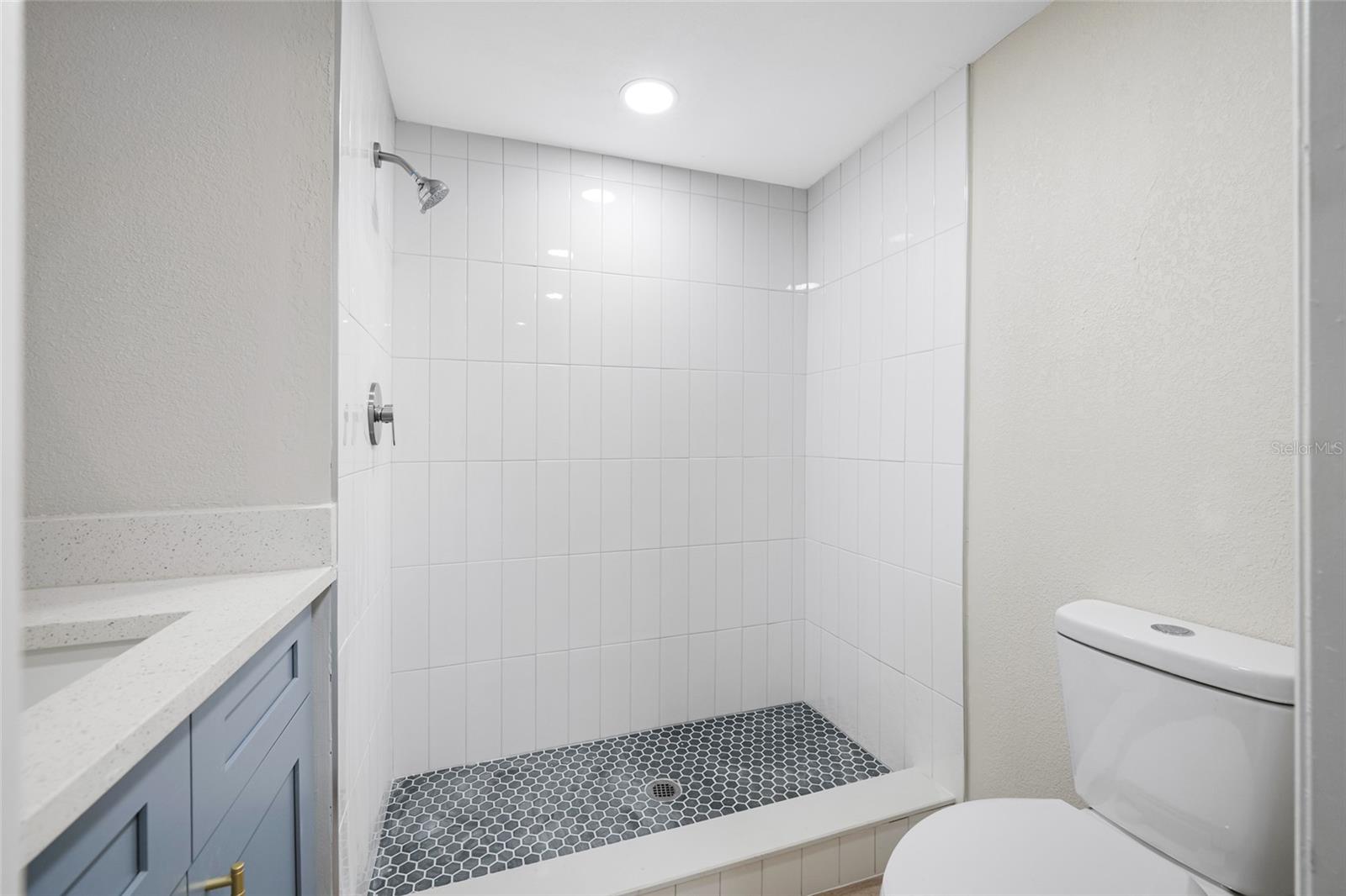 Image 15 of 23 For 129 Danube Avenue 1