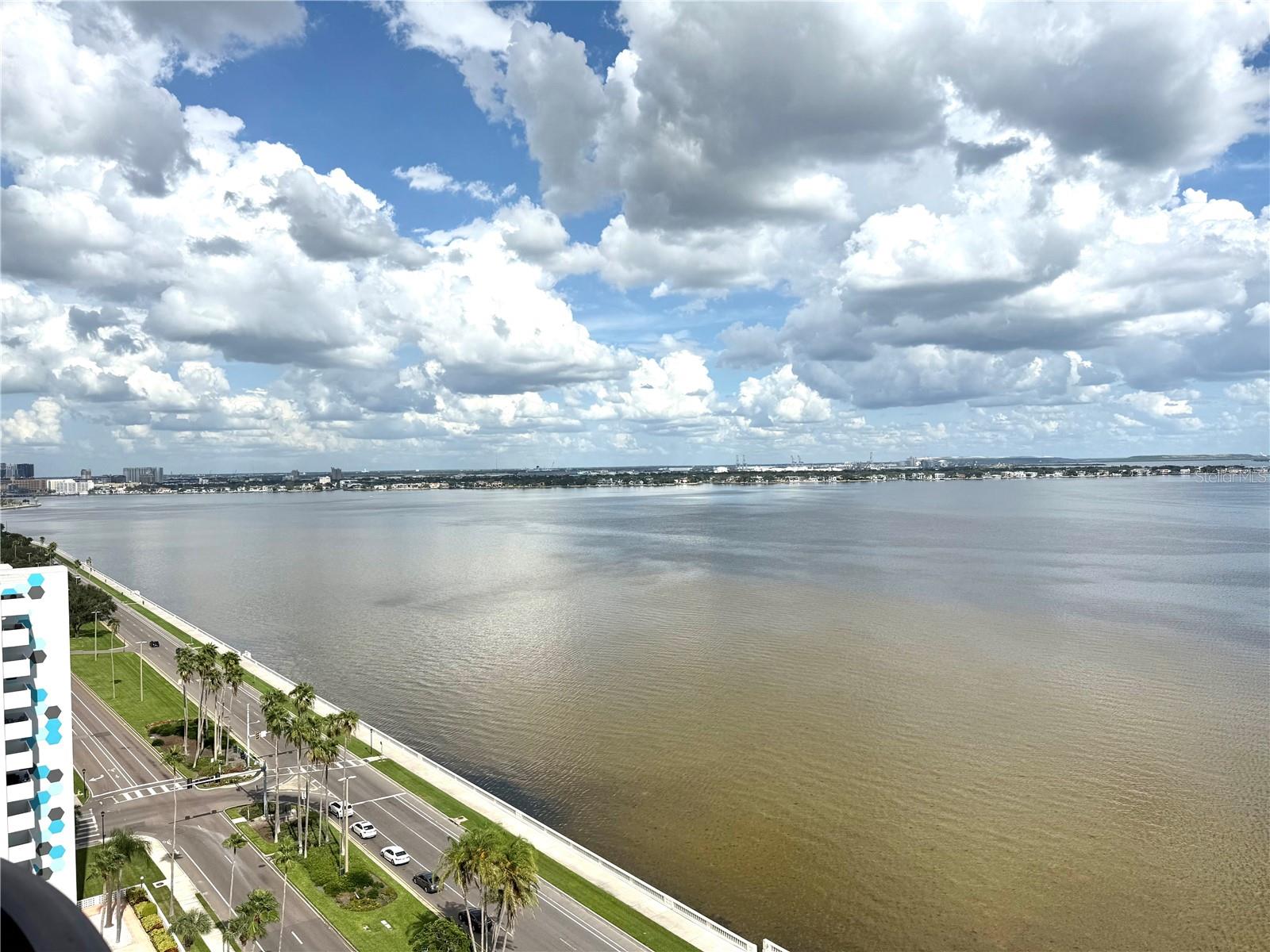 Image 17 of 42 For 2413 Bayshore Boulevard 1805