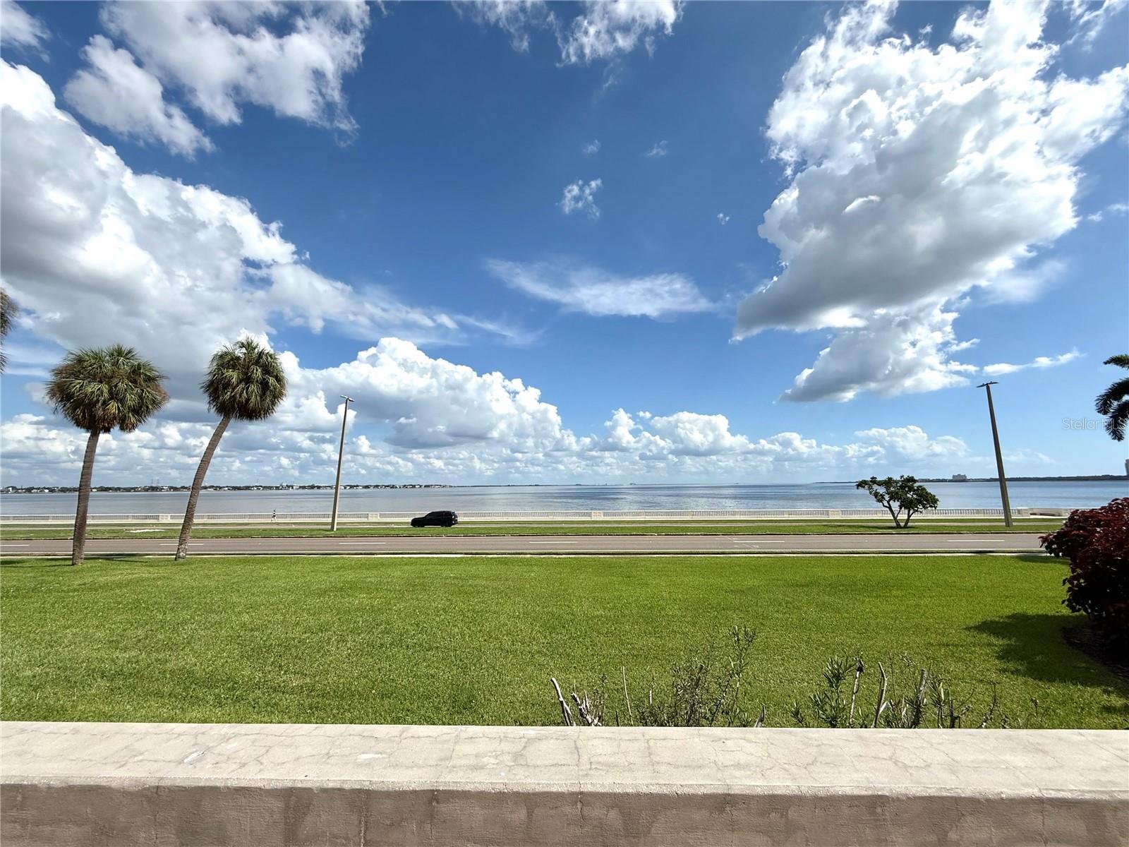 Image 36 of 42 For 2413 Bayshore Boulevard 1805