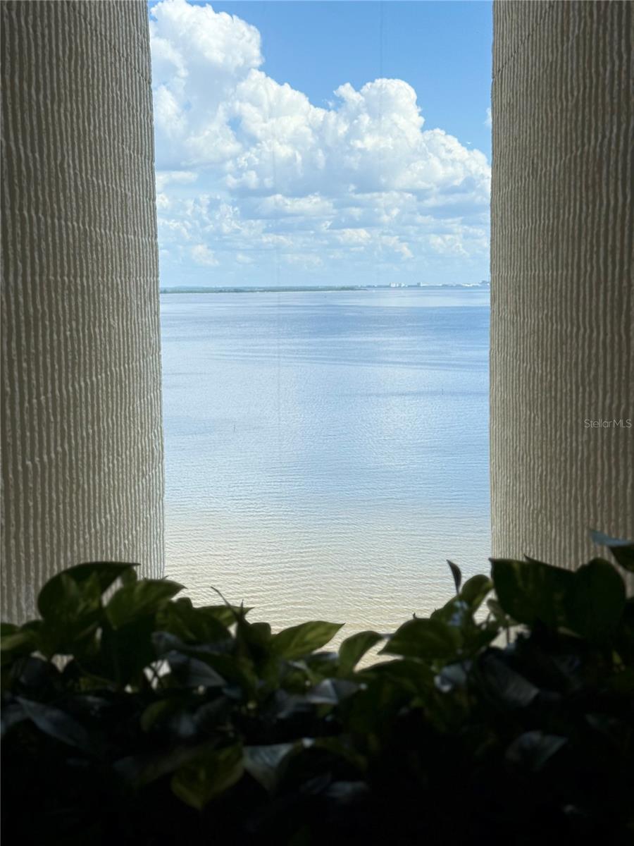 Image 4 of 42 For 2413 Bayshore Boulevard 1805