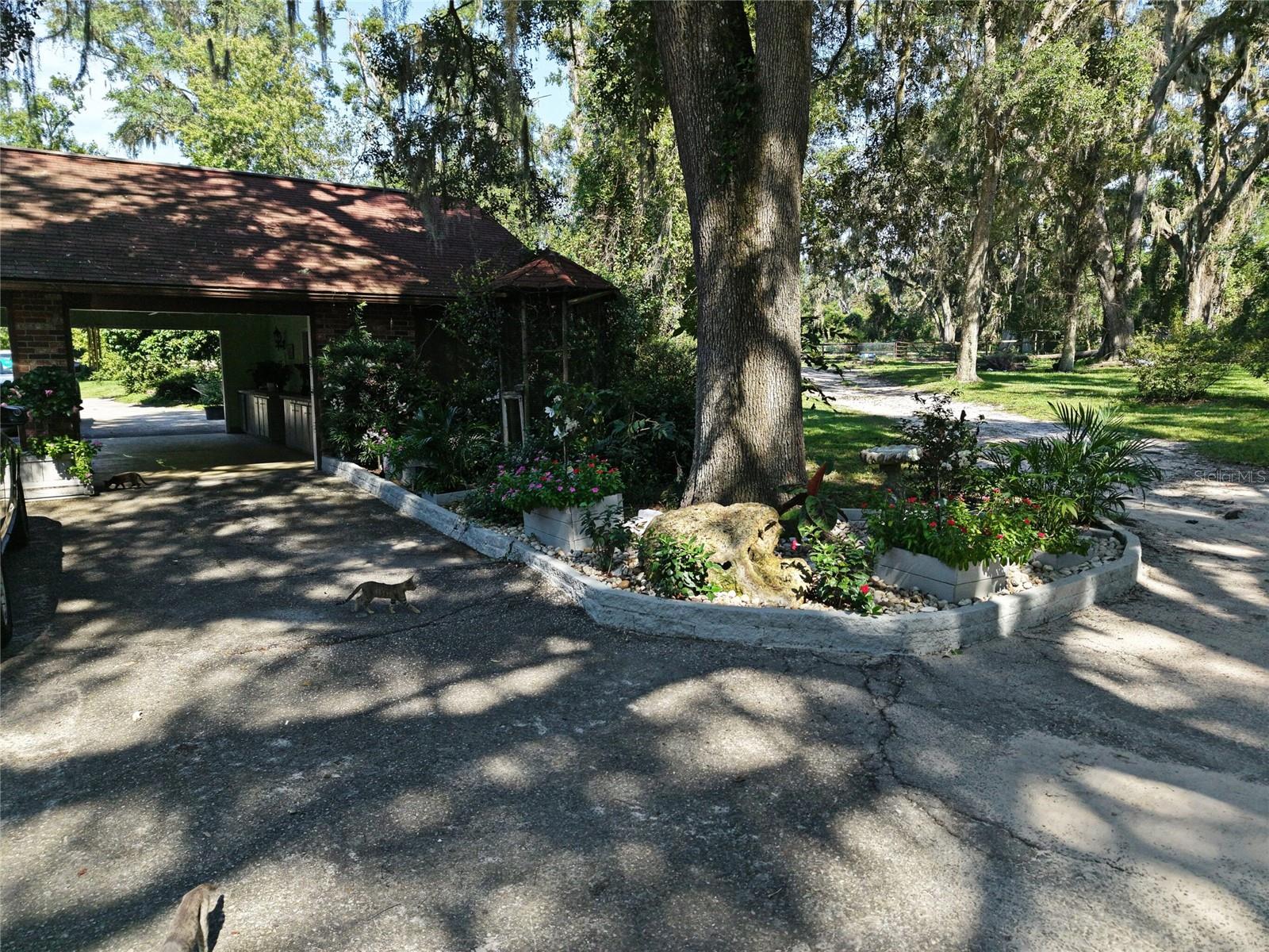 Image 10 of 46 For Address Not Provided