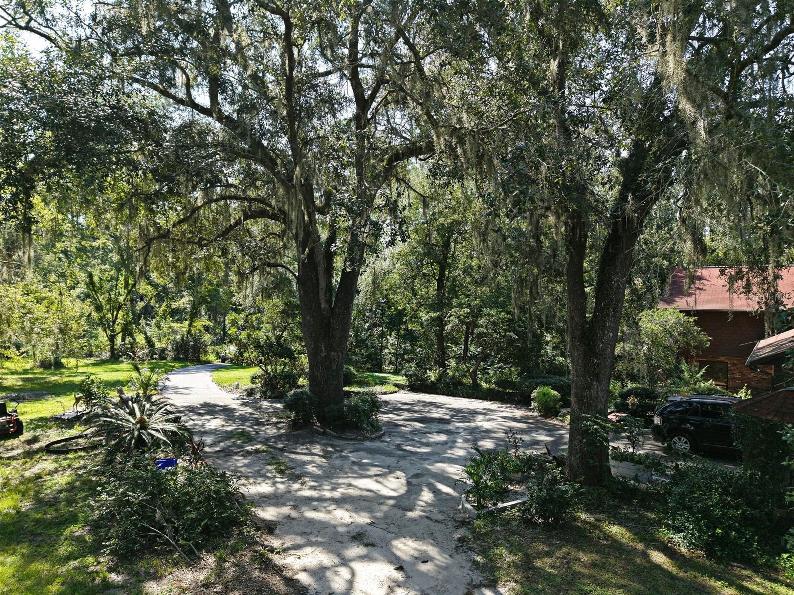 Image 23 of 46 For Address Not Provided
