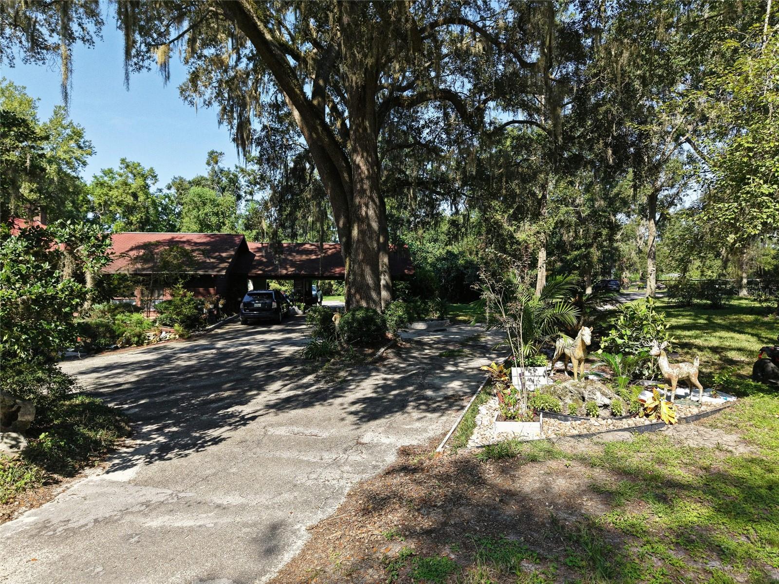 Image 9 of 46 For Address Not Provided