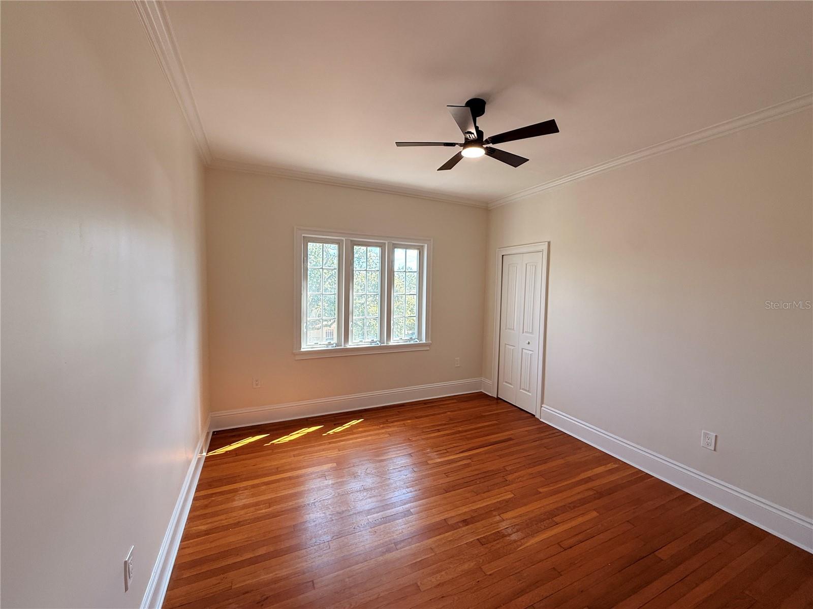 Image 7 of 7 For 2117 Dekle Avenue B3