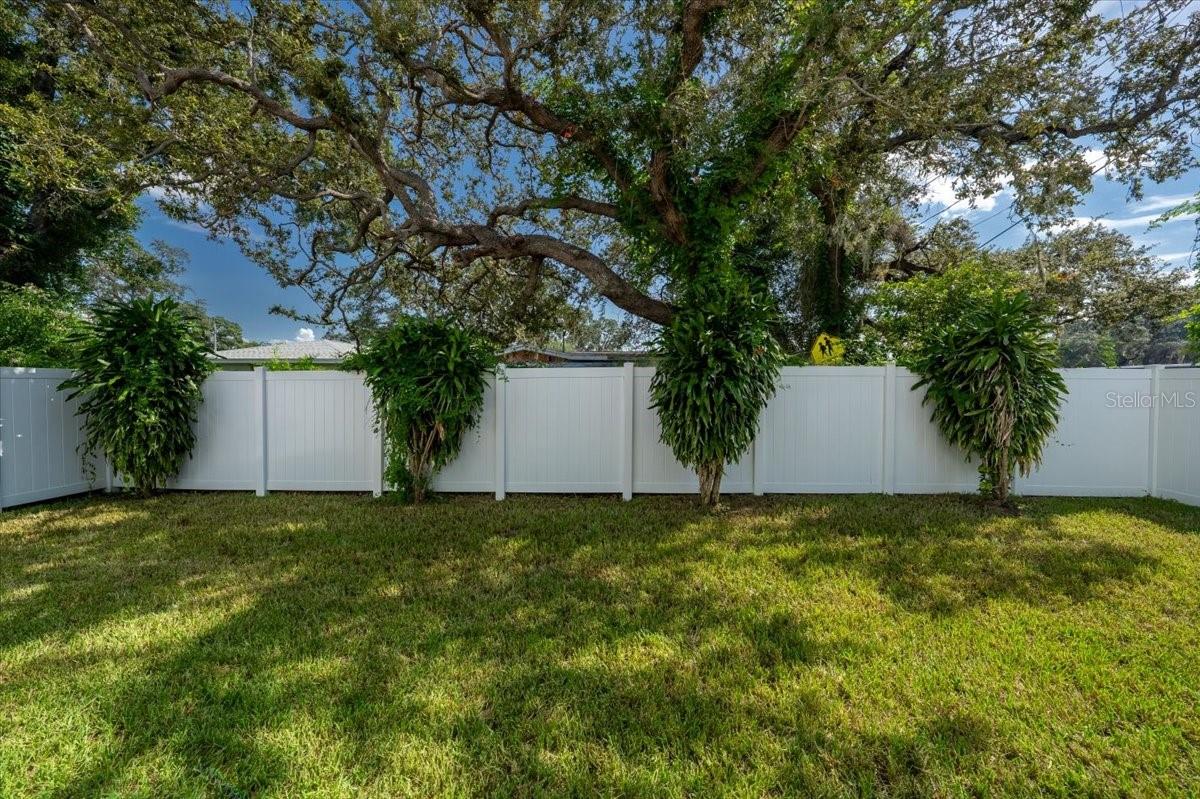 Image 54 of 55 For 4224 Green Street