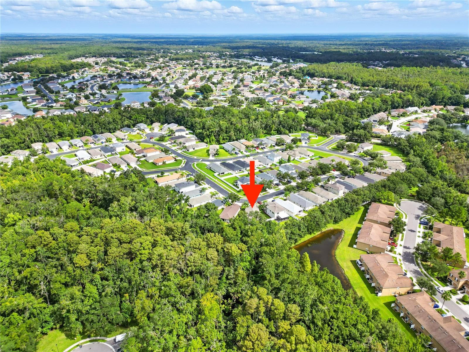 Image 31 of 38 For 25906 Terrawood Loop