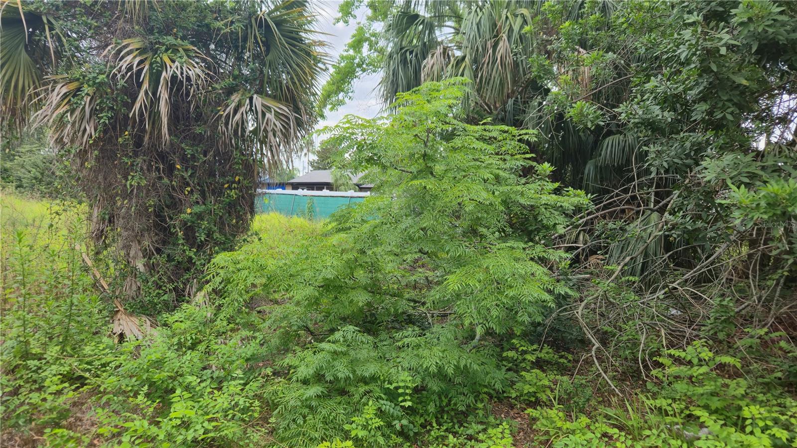 Image 4 of 11 For  Villa Drive 