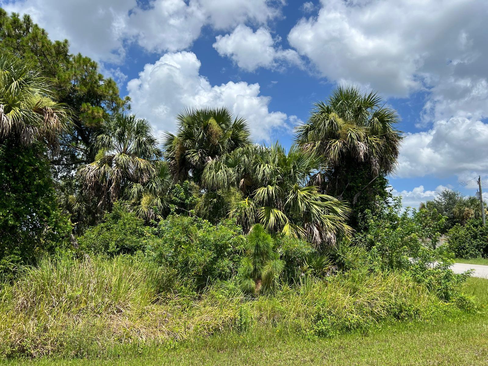 Listing Details for Waterloo Terrace, NORTH PORT, FL 34286