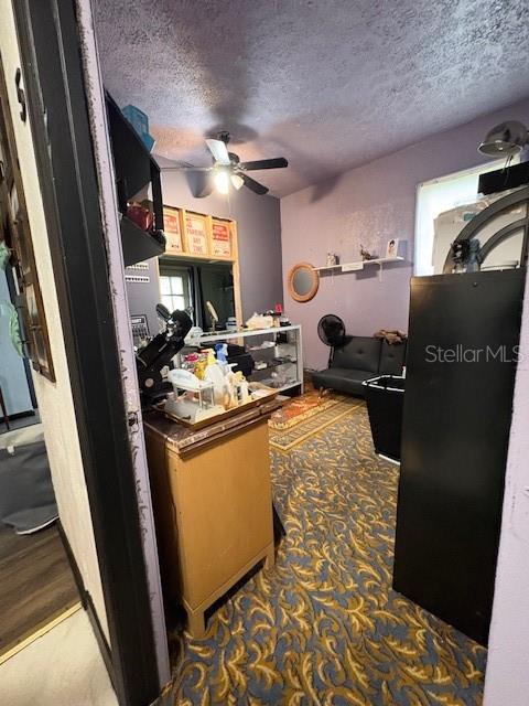 Listing photo id 3 for 803 Palm Avenue
