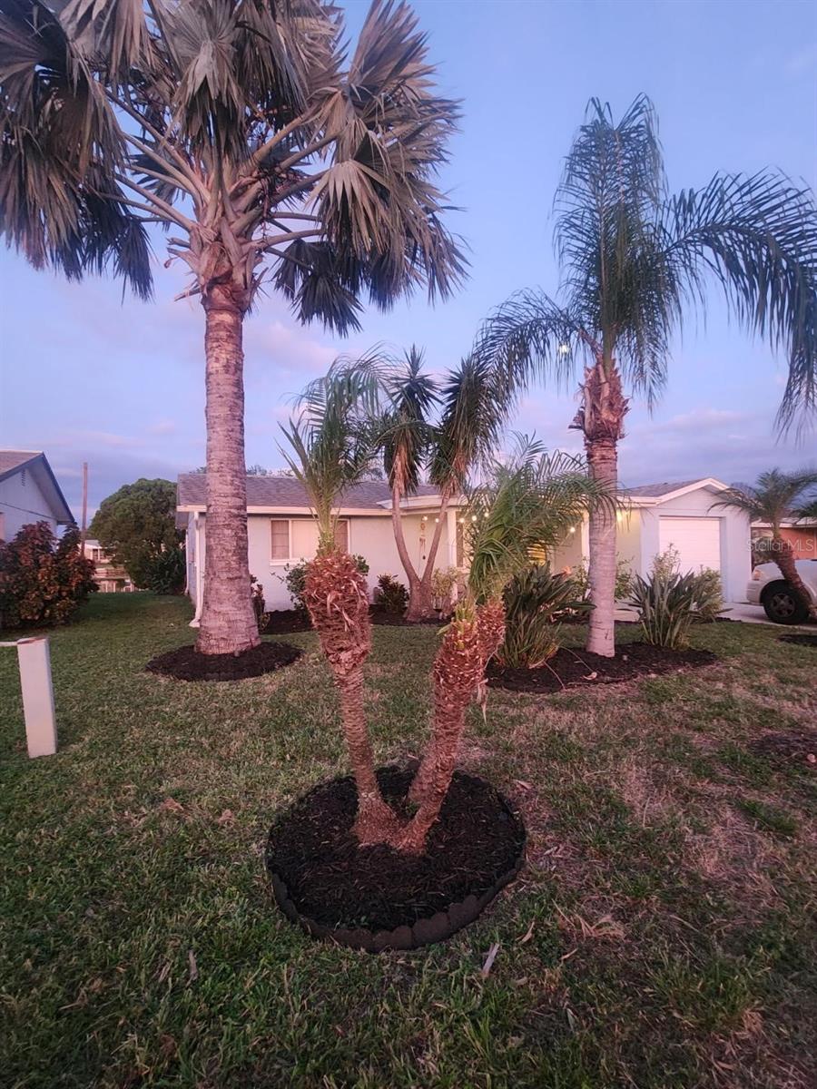 Image 3 of 21 For 2228 Society Drive