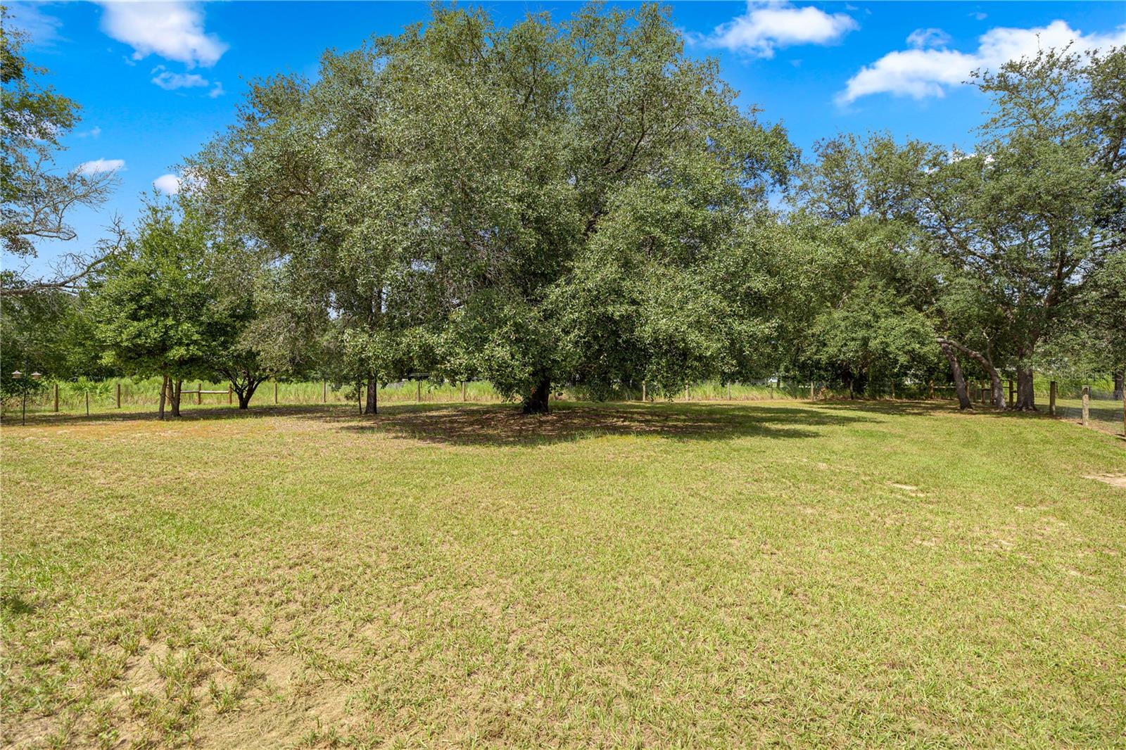 Listing photo id 32 for 2478 Angola Drive