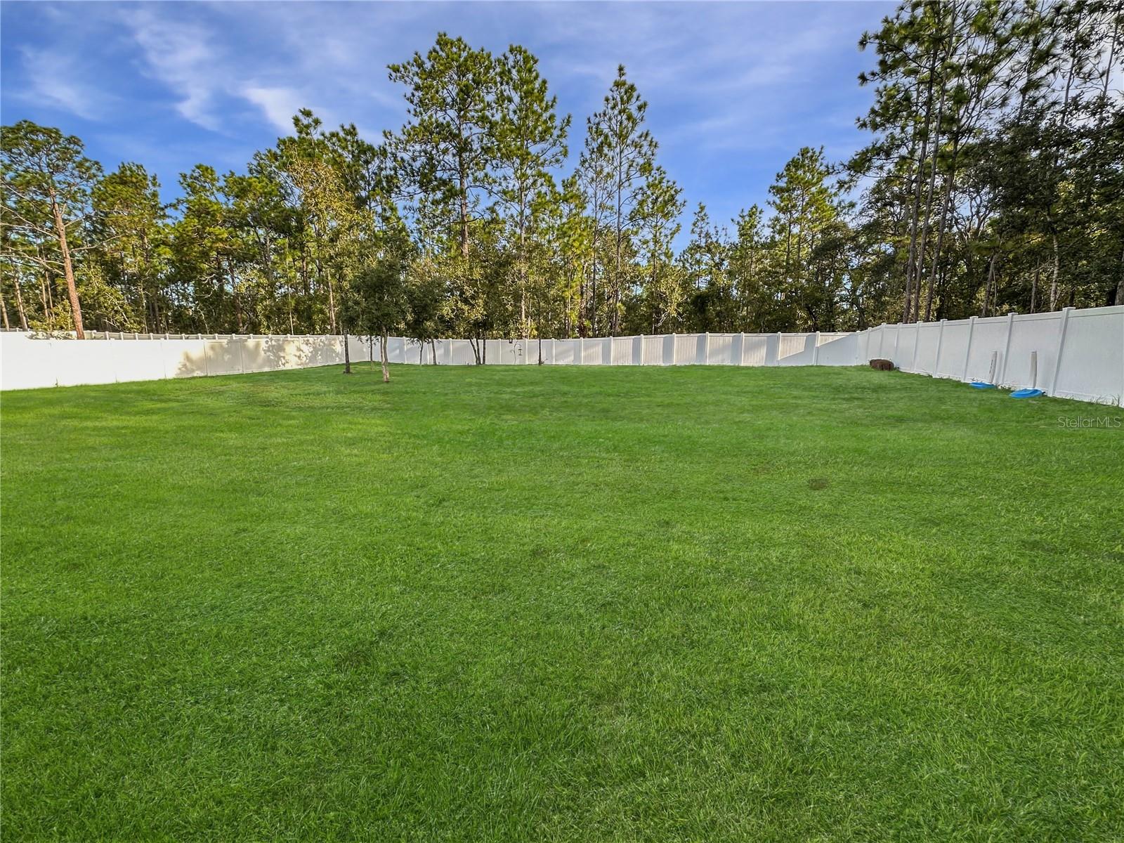 Image 37 of 43 For 13023 Downy Woodpecker Road