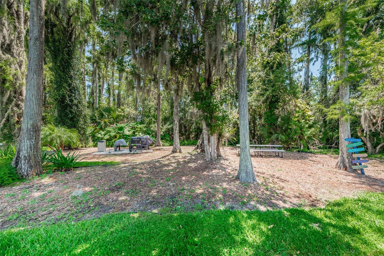 Image 87 of 100 For 11805 Loblolly Pine Drive