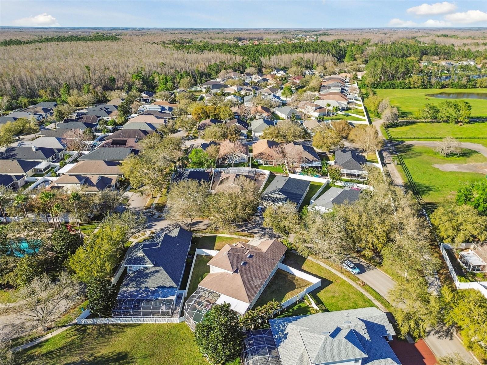 Image 58 of 81 For 18034 Lake Reflections Boulevard