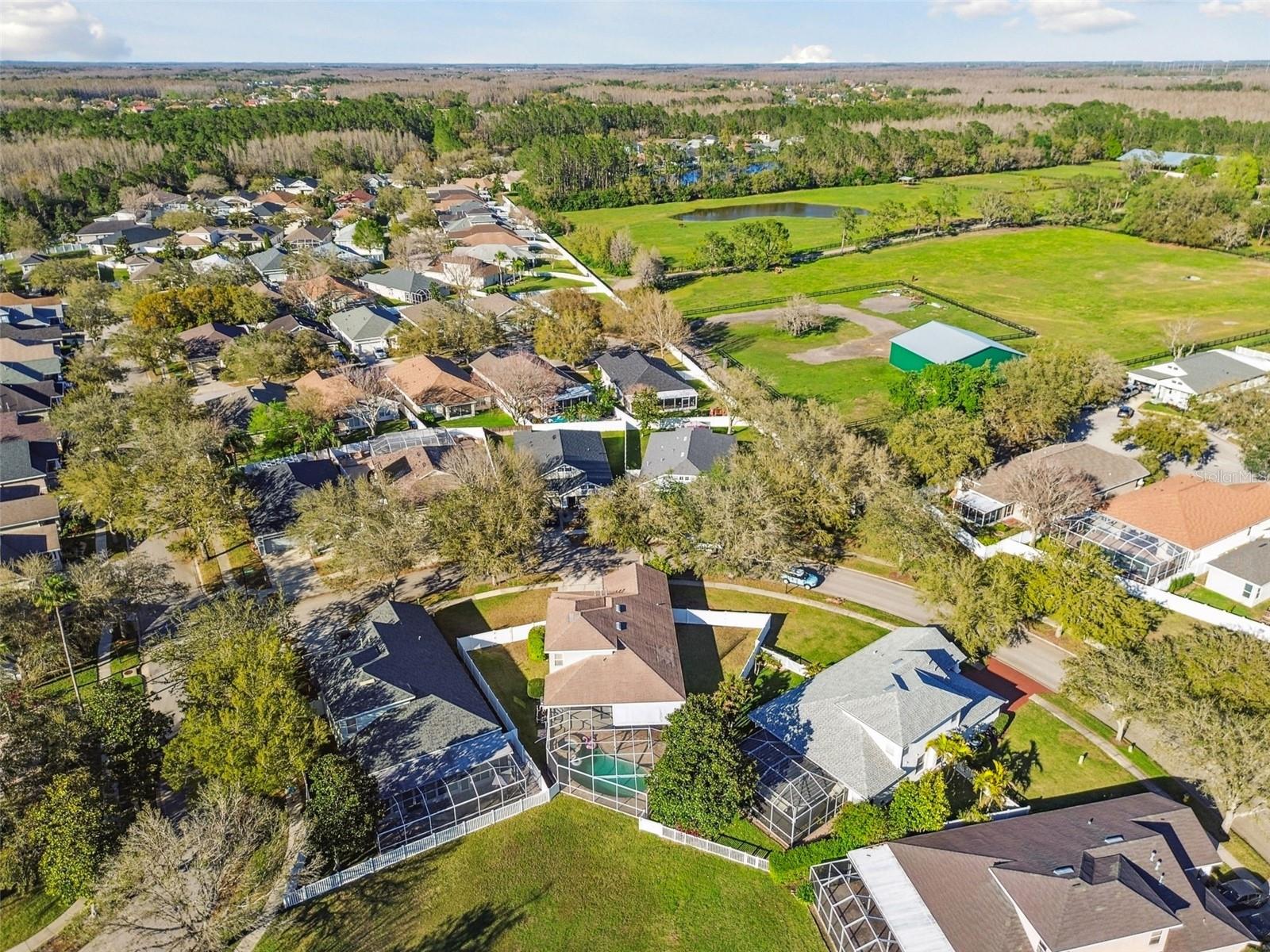 Image 59 of 81 For 18034 Lake Reflections Boulevard