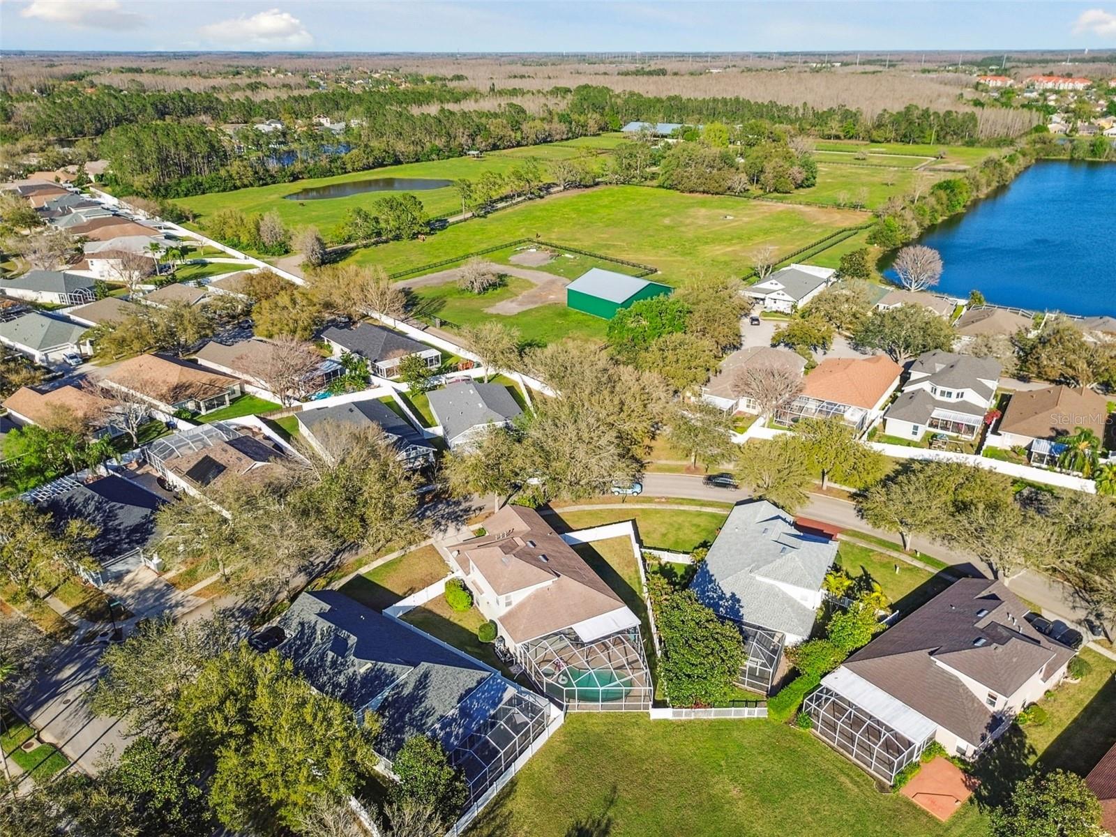 Image 60 of 81 For 18034 Lake Reflections Boulevard