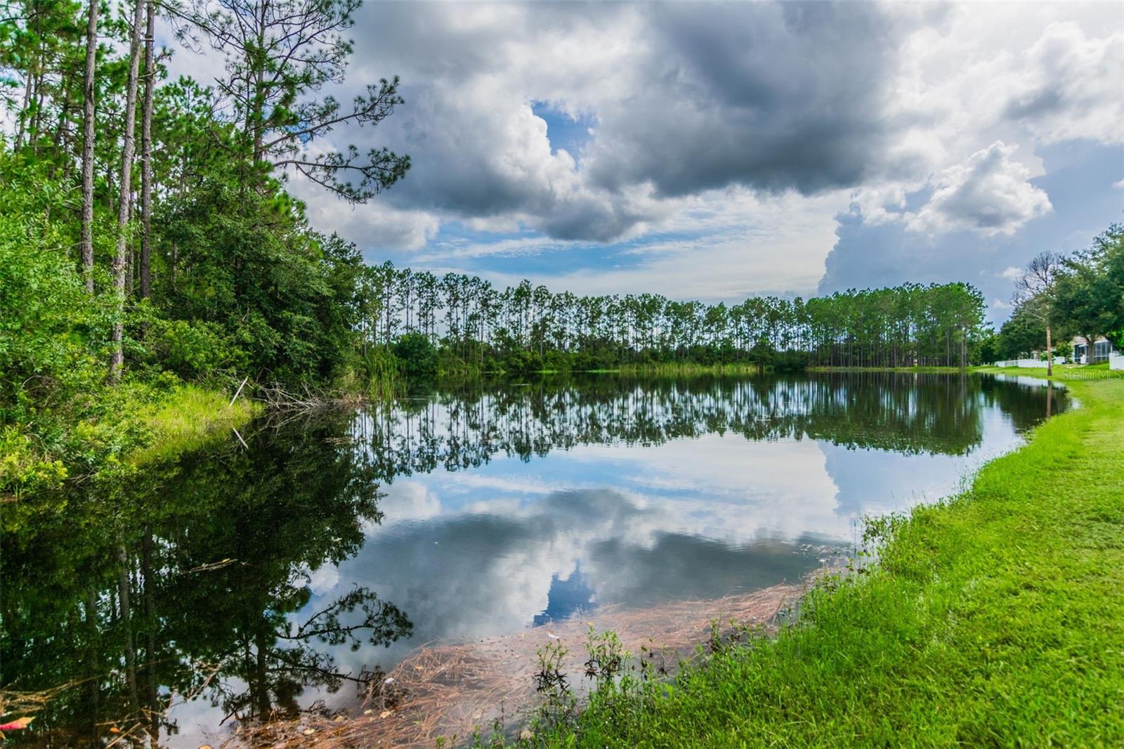 Image 76 of 81 For 18034 Lake Reflections Boulevard