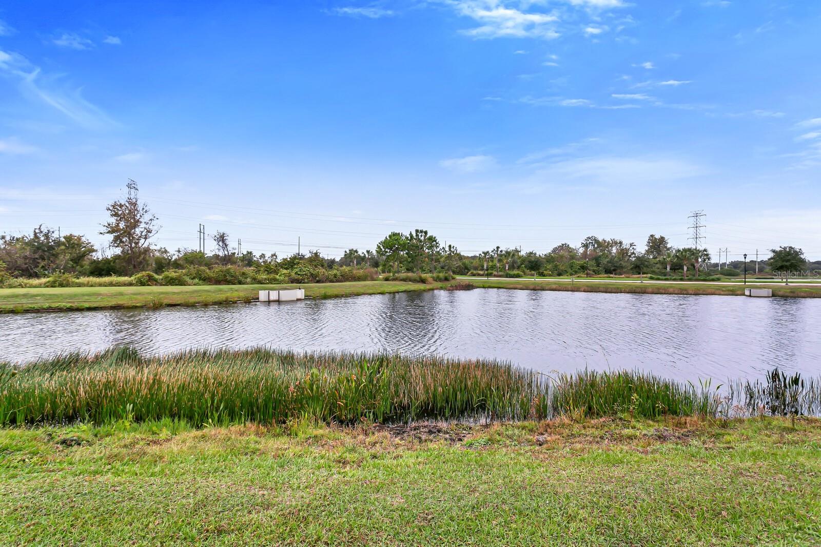 Image 51 of 54 For 12017 Grand Kempston Drive