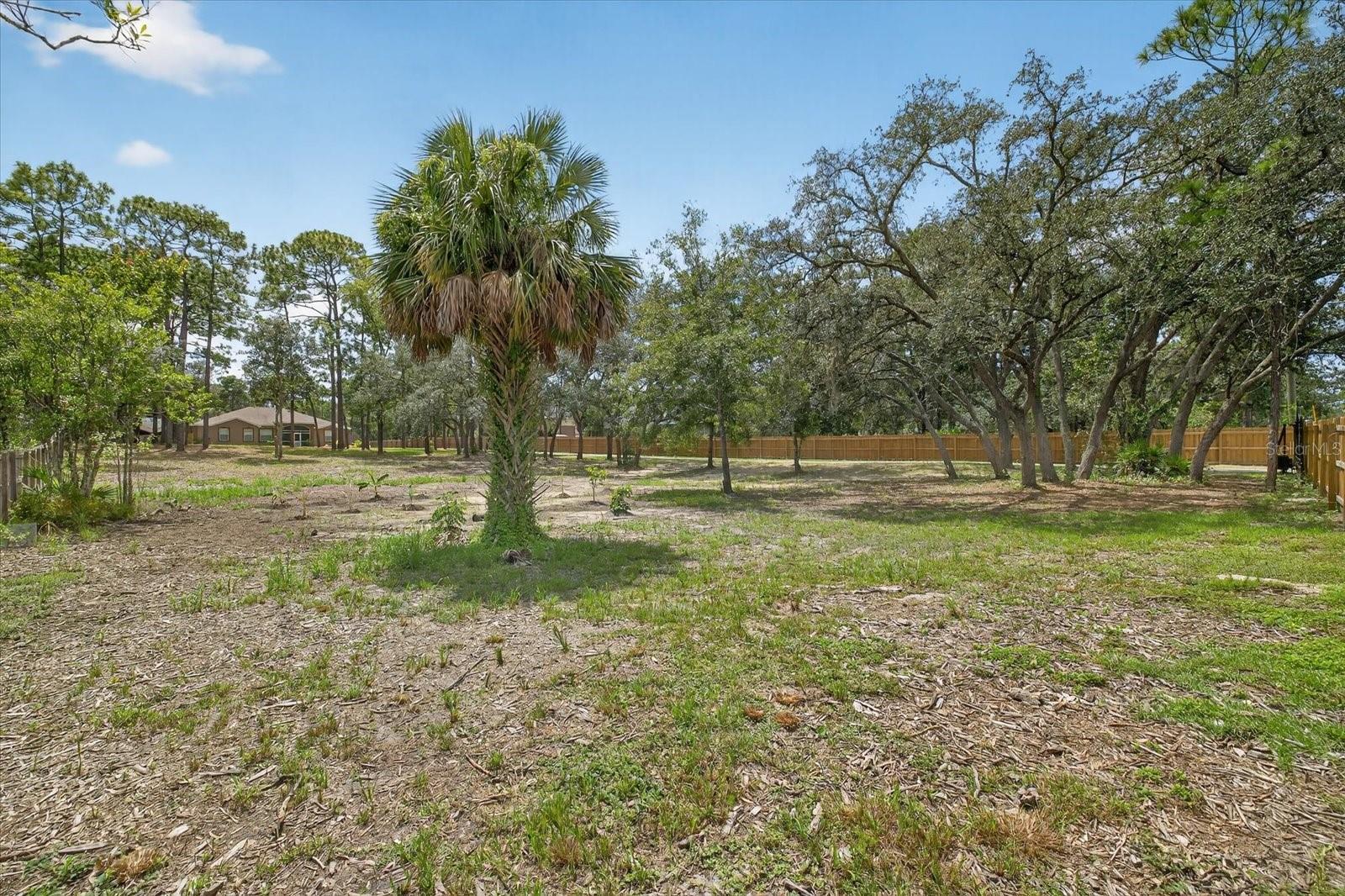 Image 6 of 53 For 9078 Birmingham Avenue