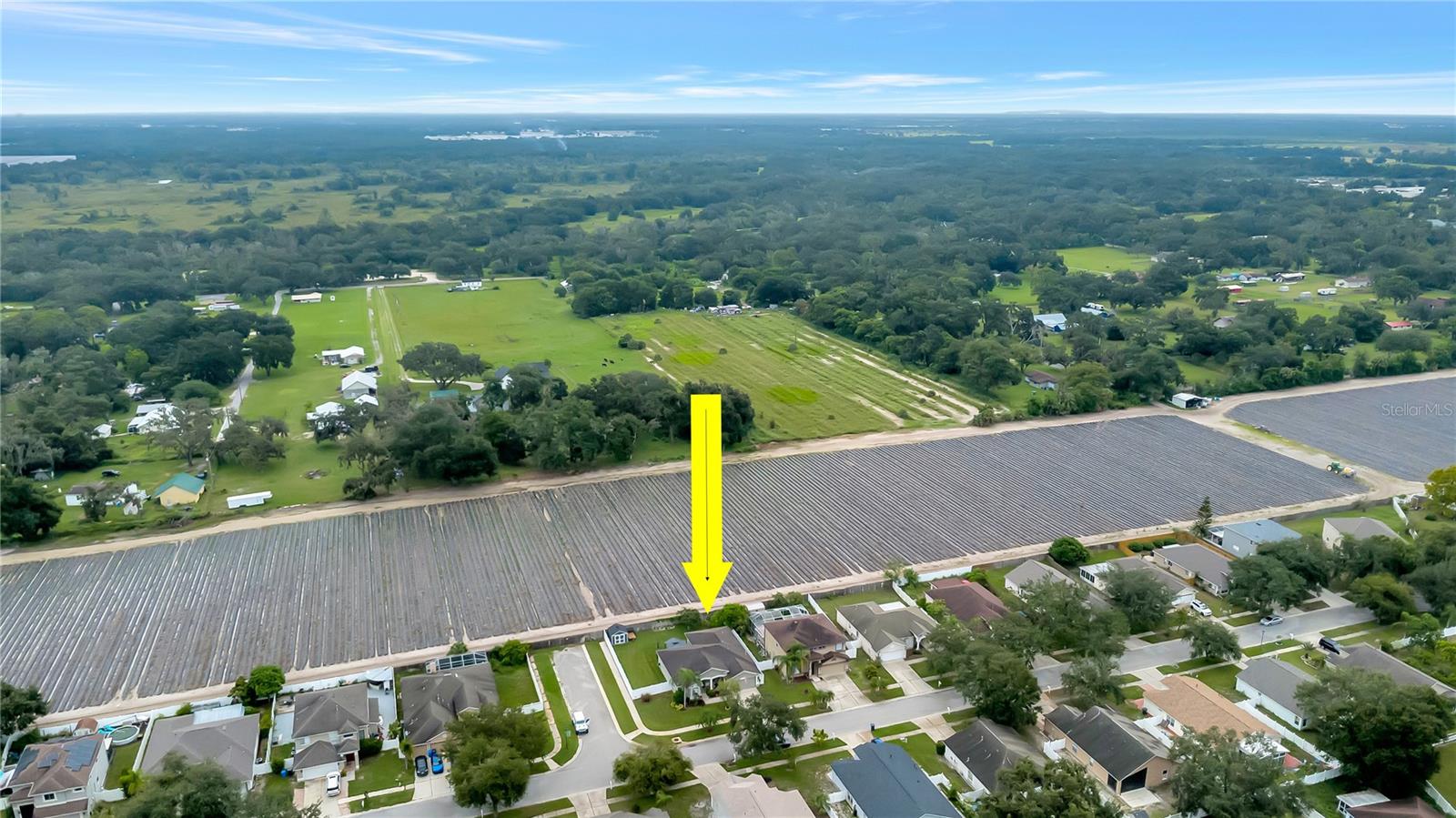 Image 3 of 71 For 3341 Pine Top Drive