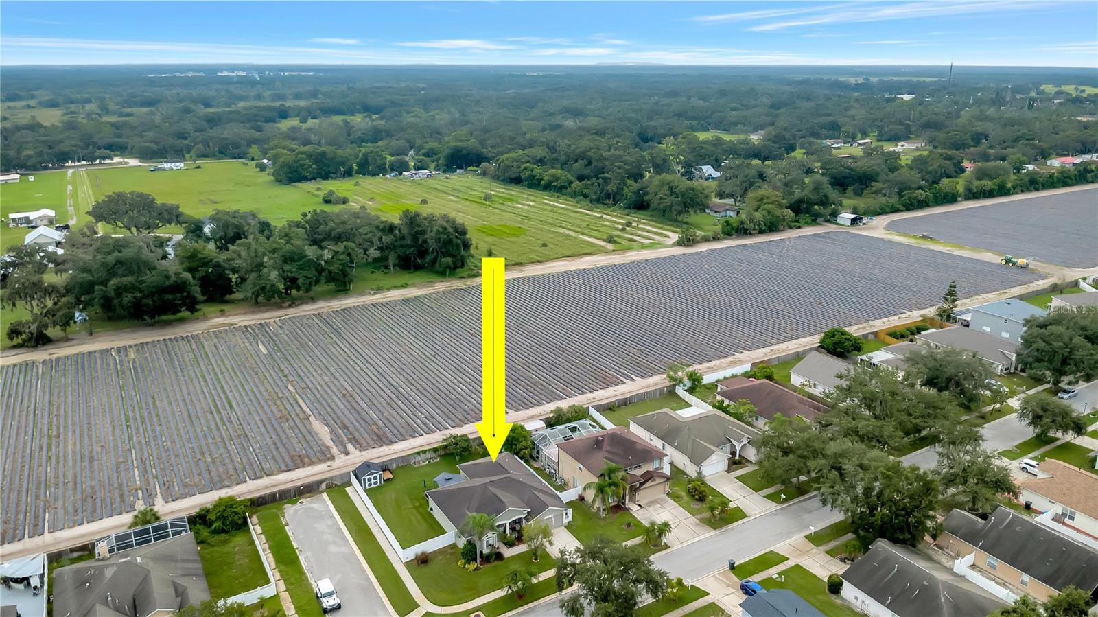 Image 61 of 71 For 3341 Pine Top Drive