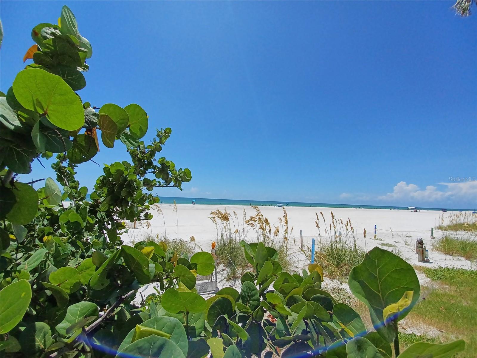 Image 36 of 41 For 17960 Gulf Boulevard 118