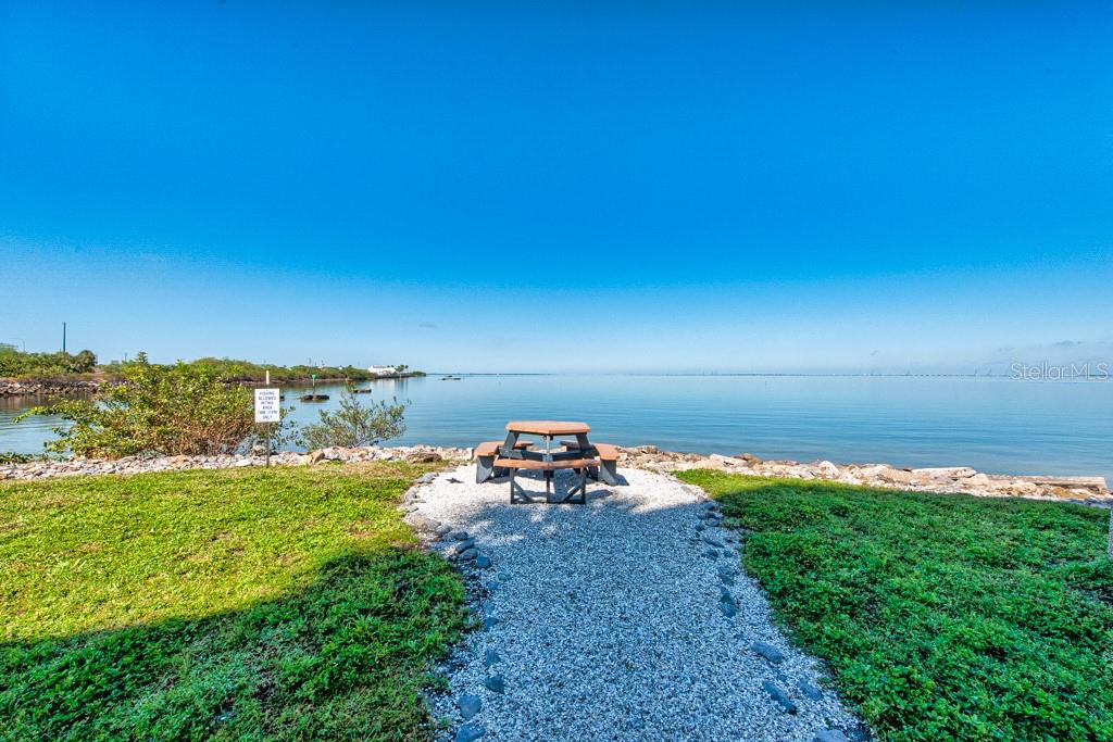 Image 38 of 49 For 5000 Culbreath Key Way 8-118