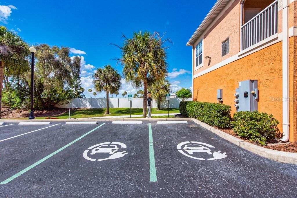 Image 41 of 49 For 5000 Culbreath Key Way 8-118