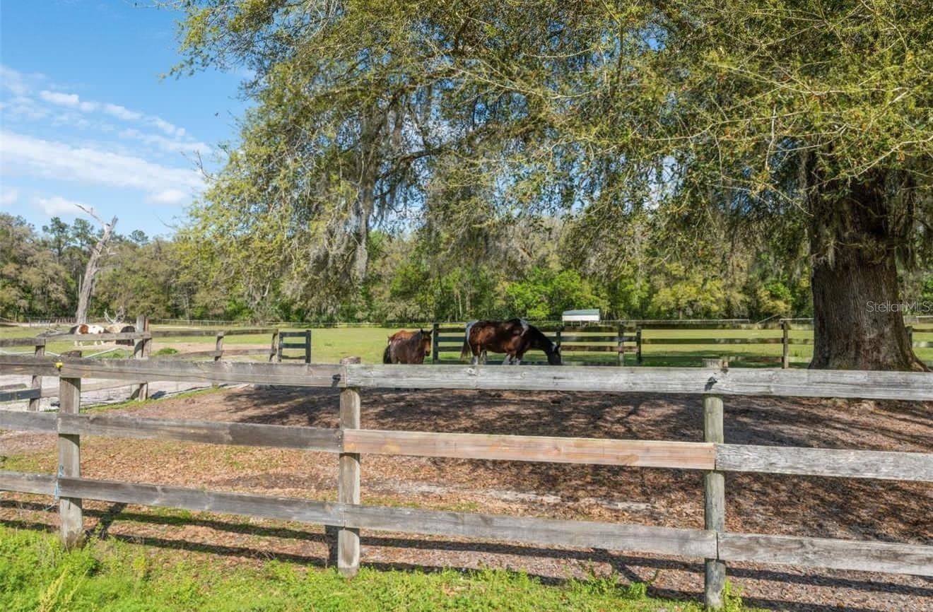Image 11 of 23 For 18530 Lake Lindsey Road
