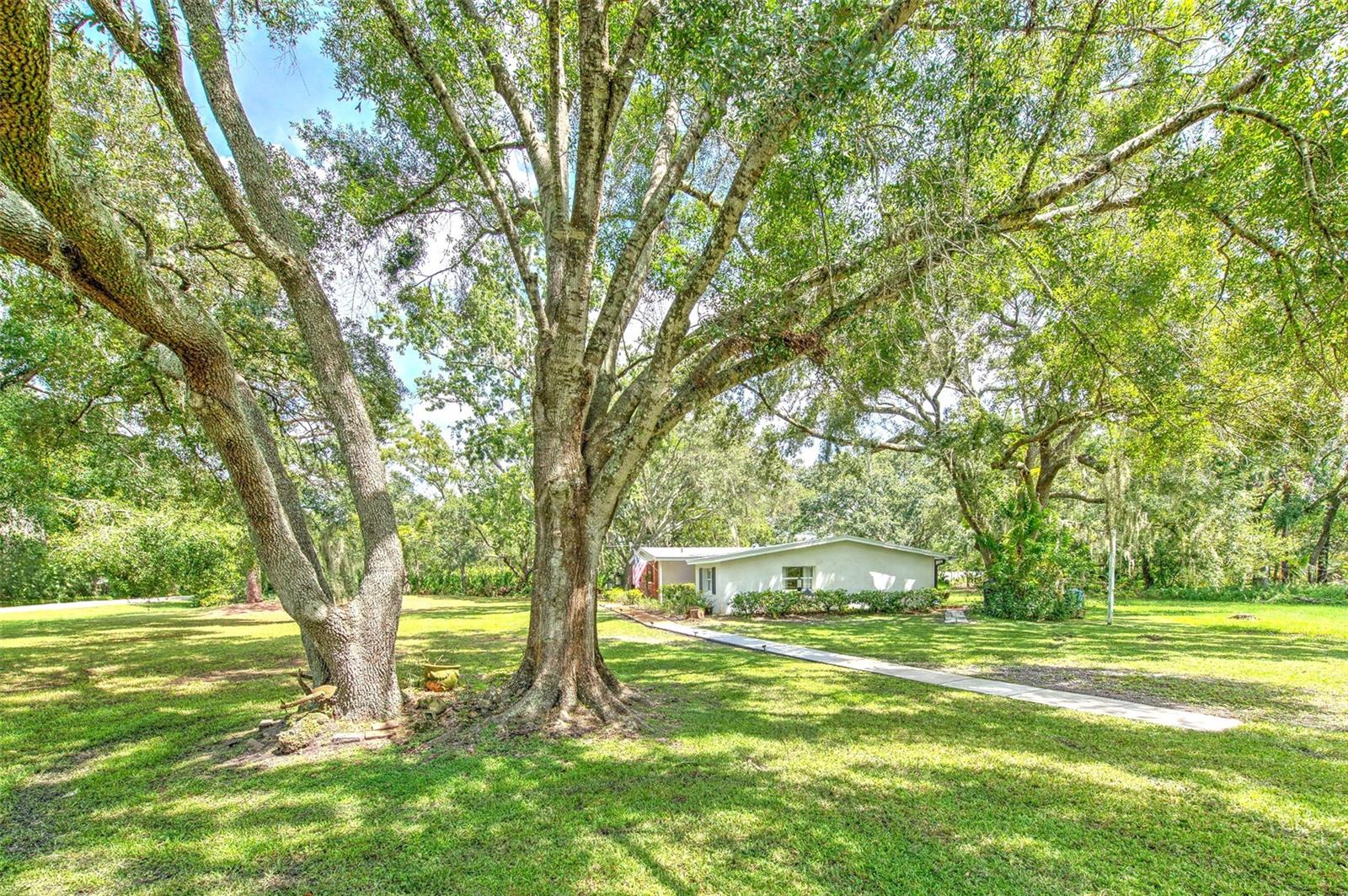Listing photo id 1 for 17311 Darby Lane
