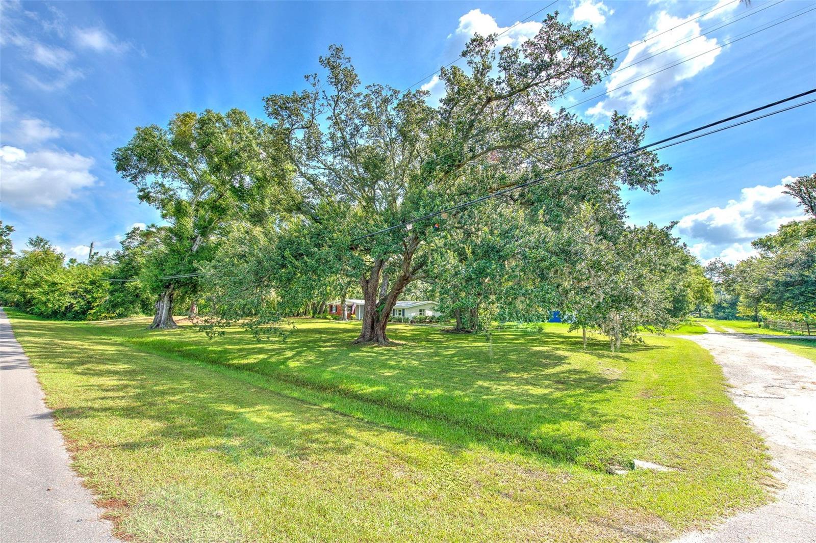 Listing photo id 35 for 17311 Darby Lane