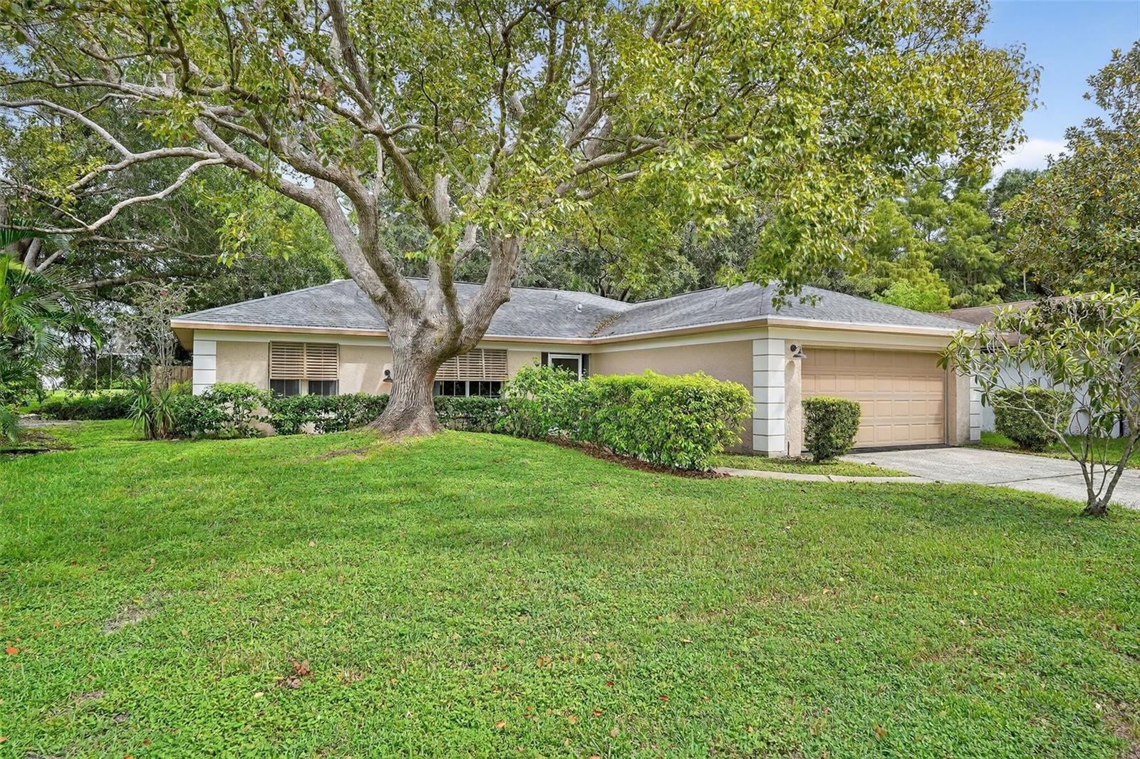 Details for 3602 Player Drive, NEW PORT RICHEY, FL 34655