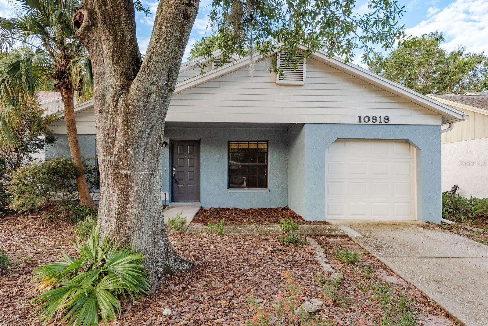 Details for 10918 Freemont Drive, NEW PORT RICHEY, FL 34654
