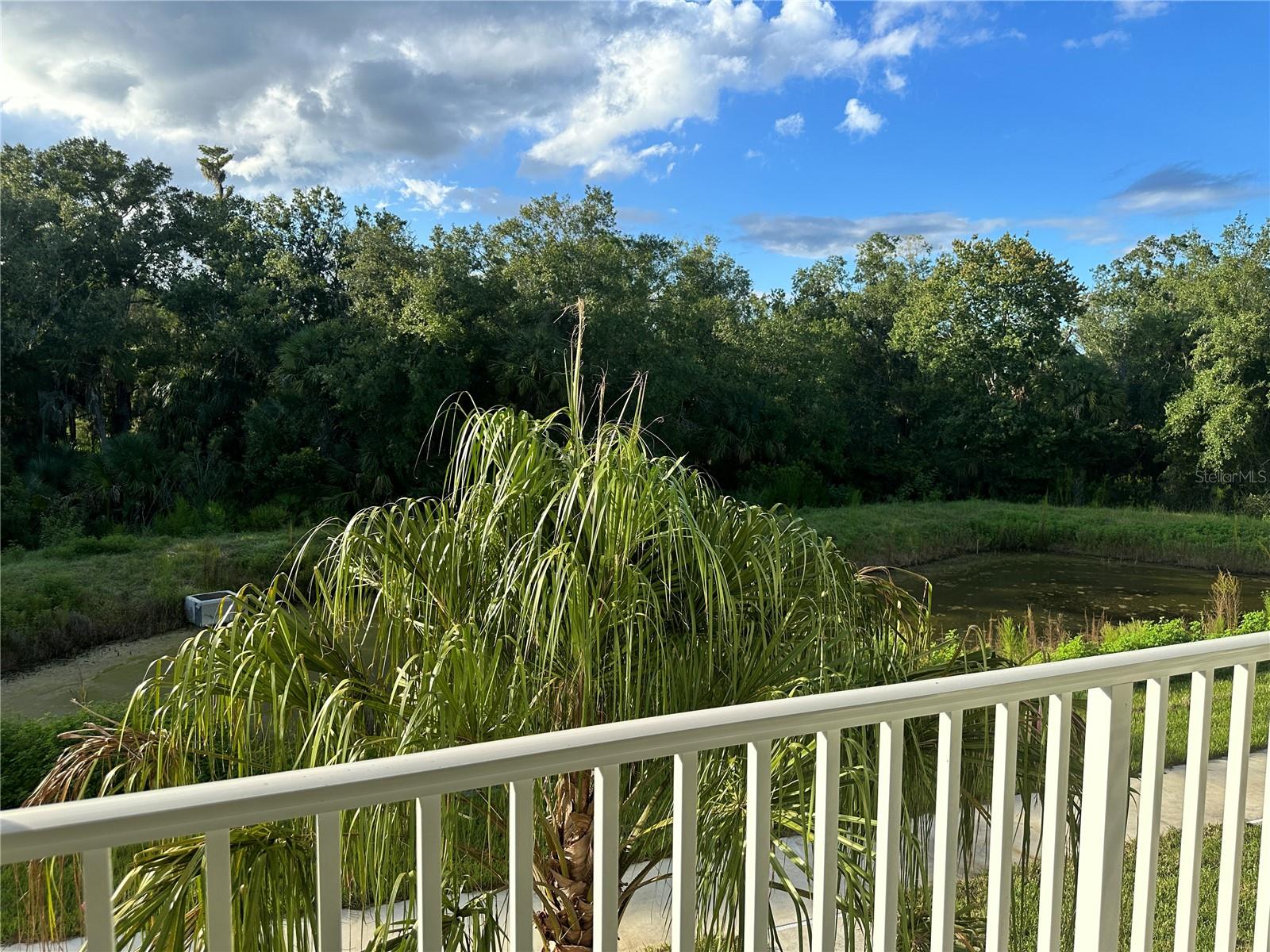 Image 31 of 67 For 28413 Grassland Ranch Lane