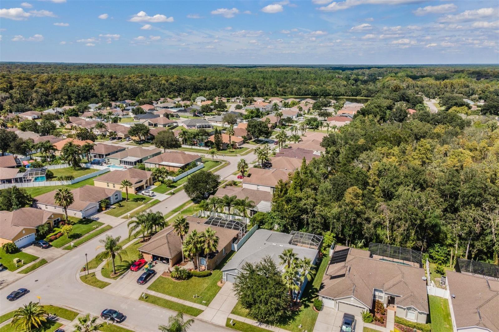 Image 55 of 68 For 25001 Bandana Court