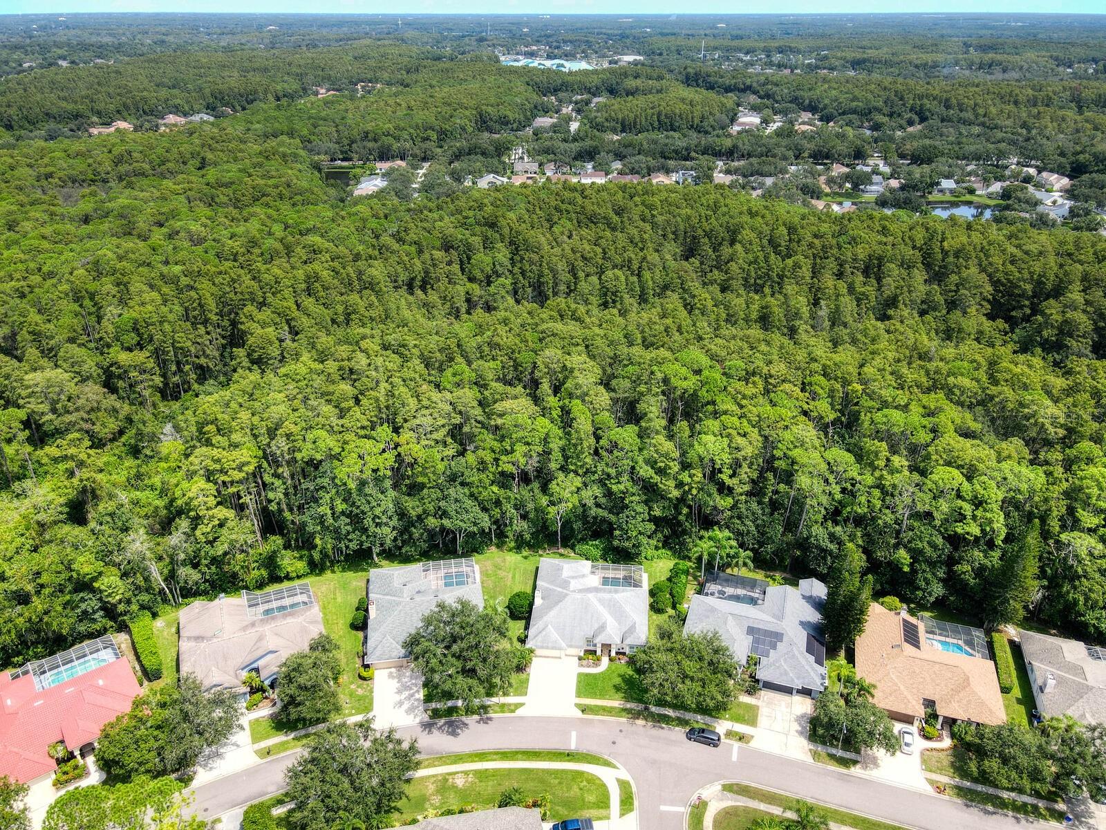 Image 2 of 58 For 4125 Kirkaldy Drive