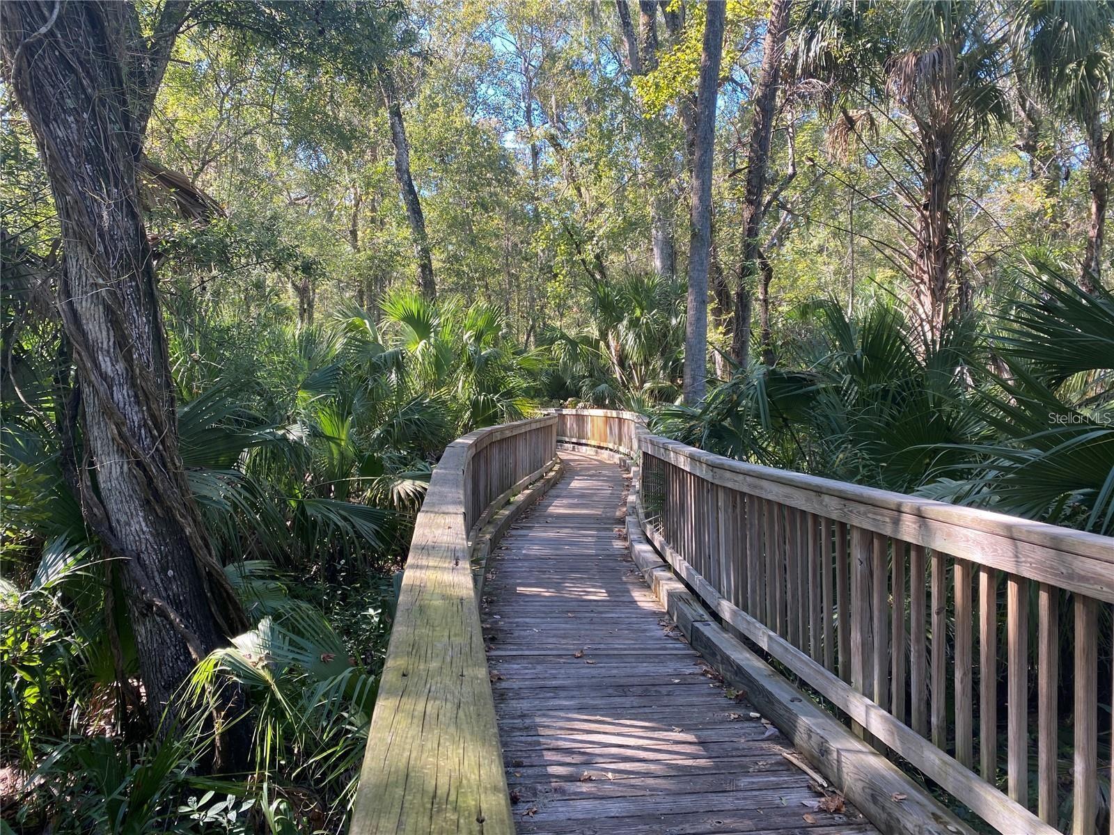 Image 49 of 50 For 4824 Woodmere Road